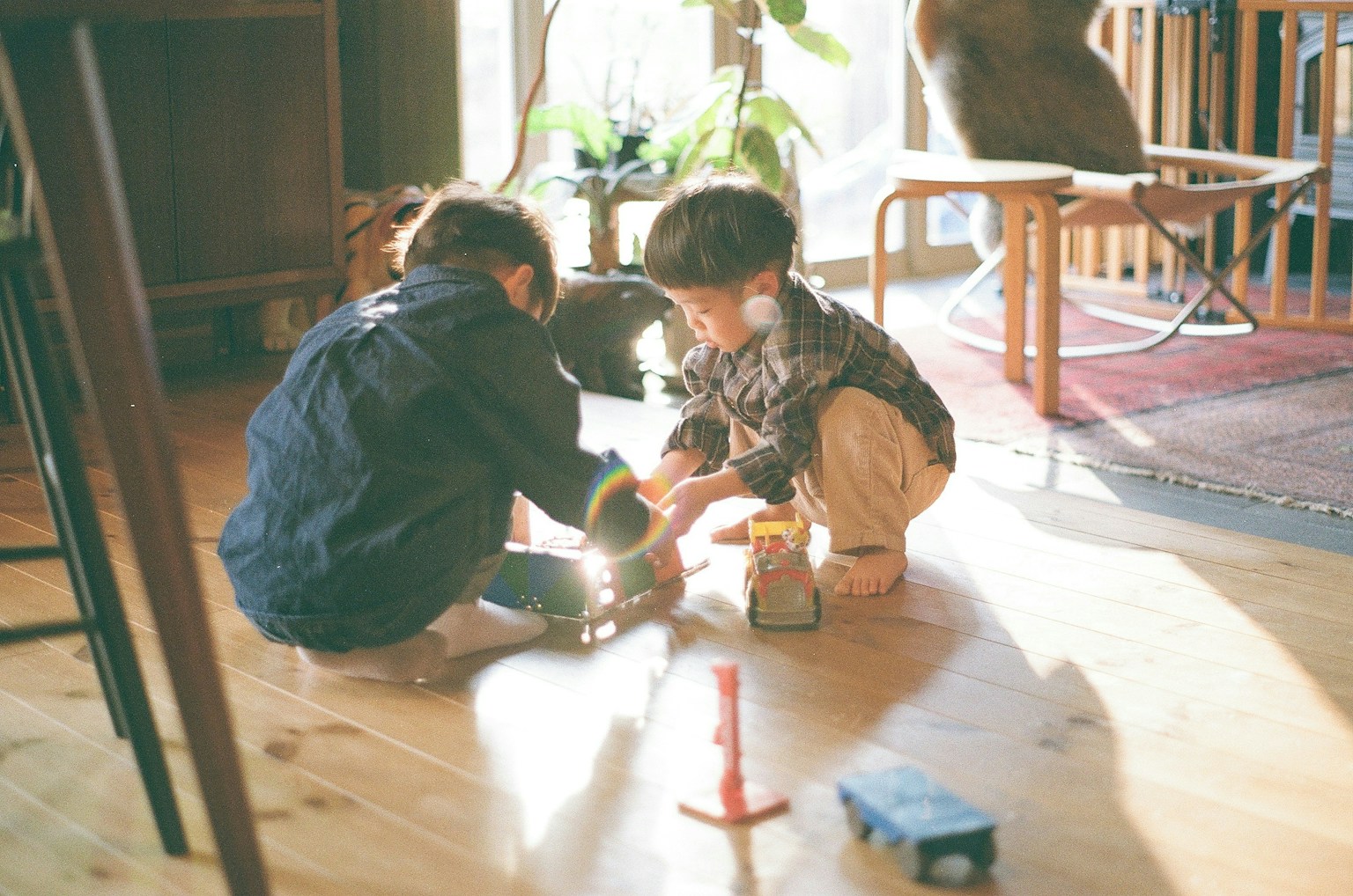 2026-04-finding-light-at-home-image-4