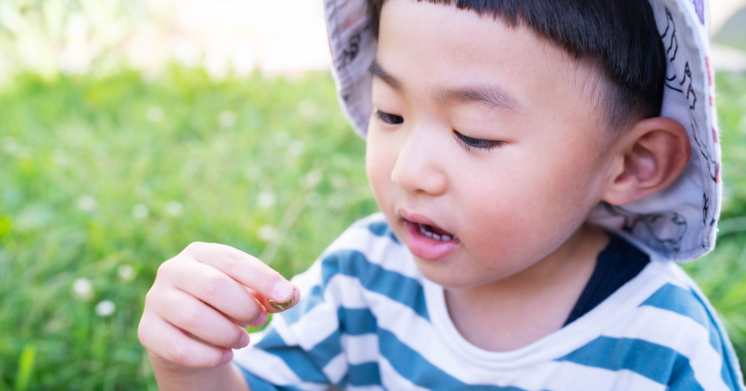 2024-07-camera-diy-kit-cover-image