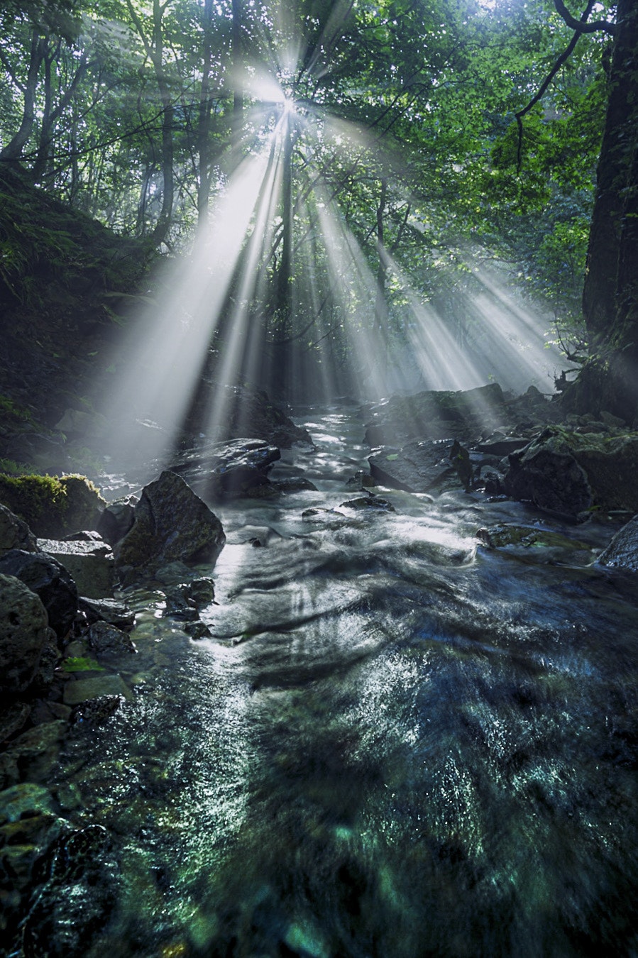 2024-06-light-technic-image-9