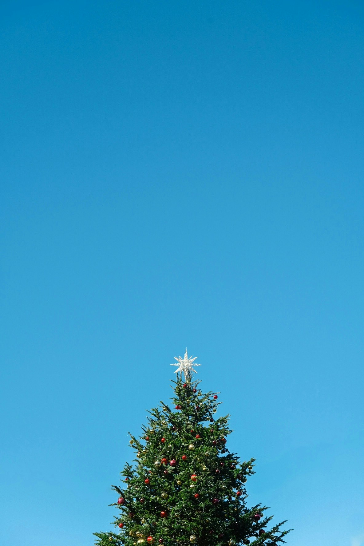2026-01-december-diary-award-image-6
