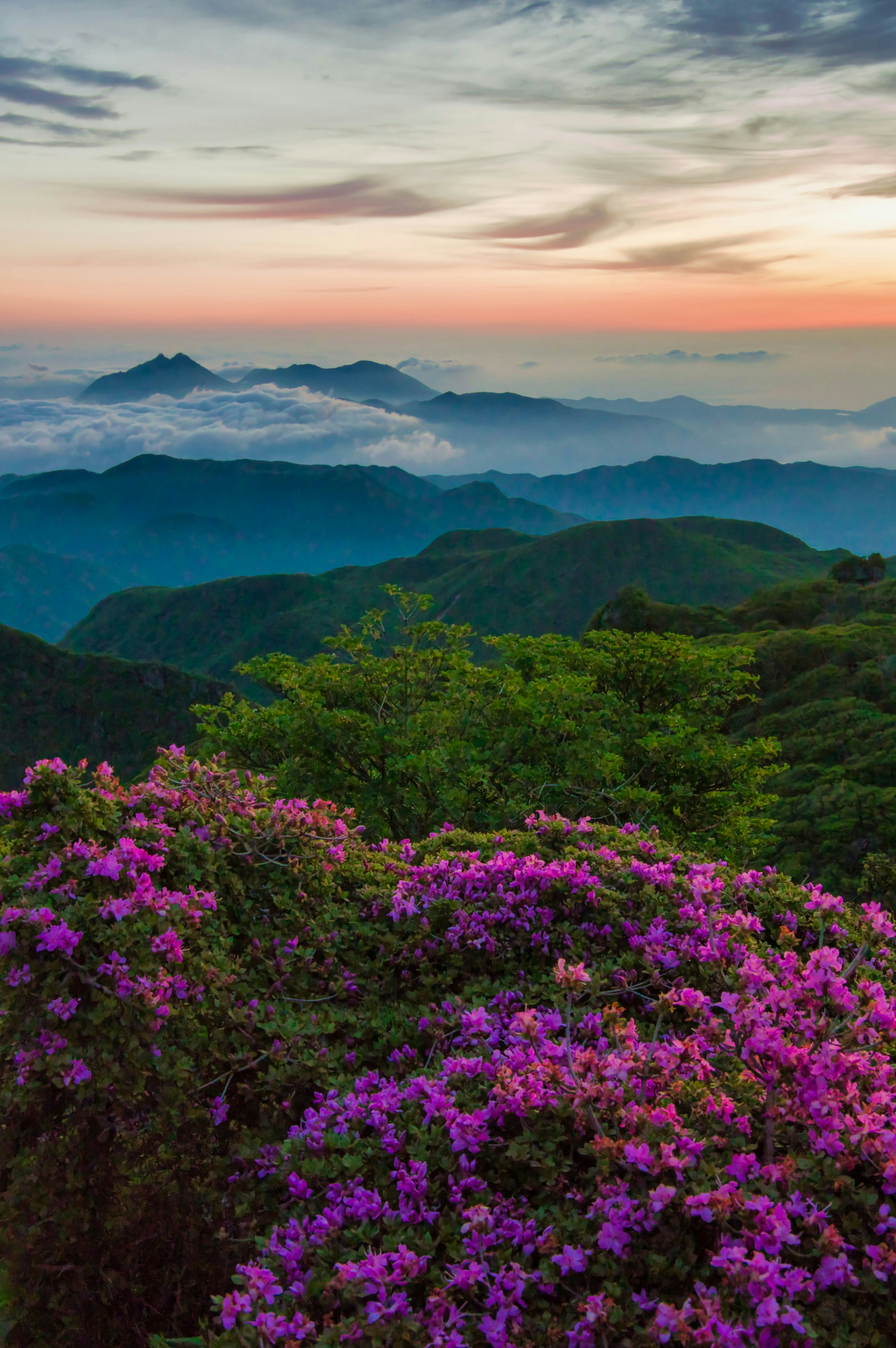 2025-06-photo-mountain-spots-image-20