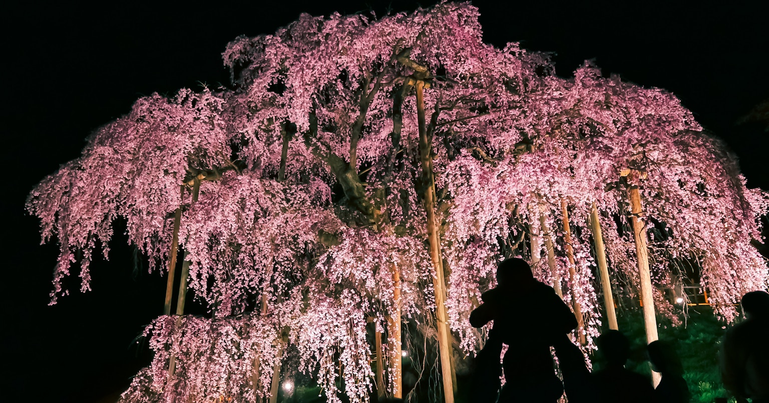 Impresionantes paisajes de Japón para el mundo | Raw Japan Fundador Takahiro | ISSUE #35