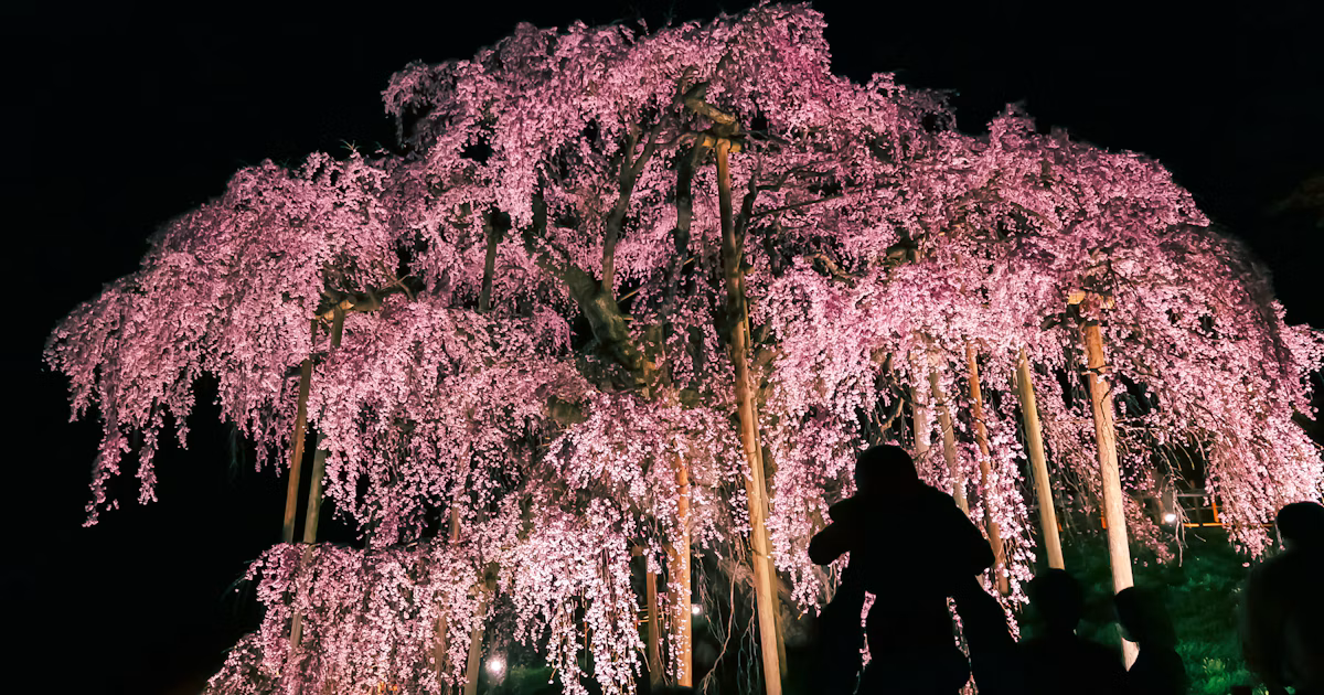 Atemberaubende Landschaften Japans in die Welt bringen | Raw Japan Gründer Takahiro | ISSUE #35