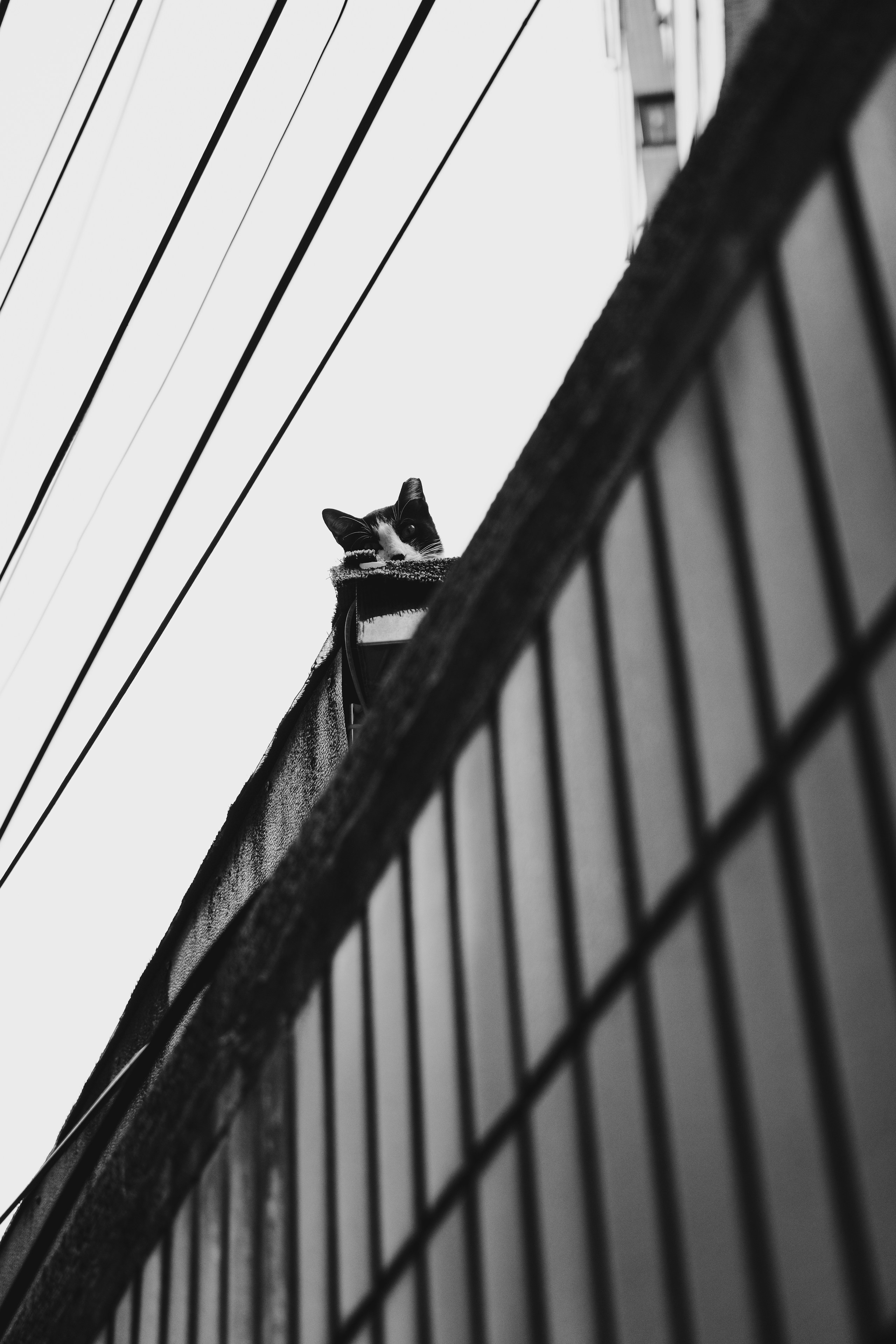 2026-06-find-new-pieces-neighborhood-image-12