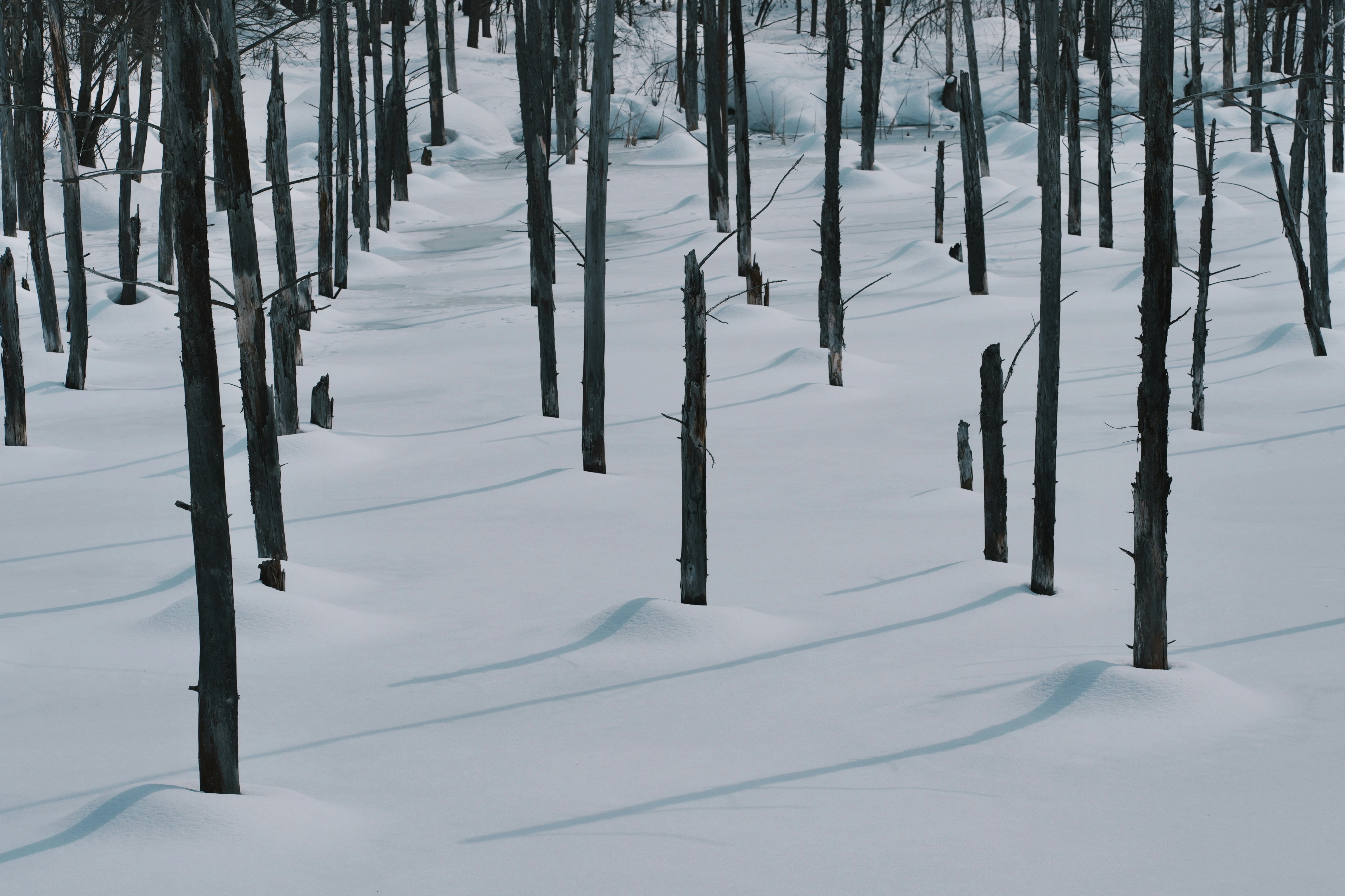 2026-01-find-new-pieces-winter-image-15