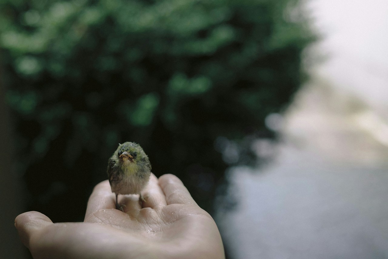 Photo by Park Seongjin