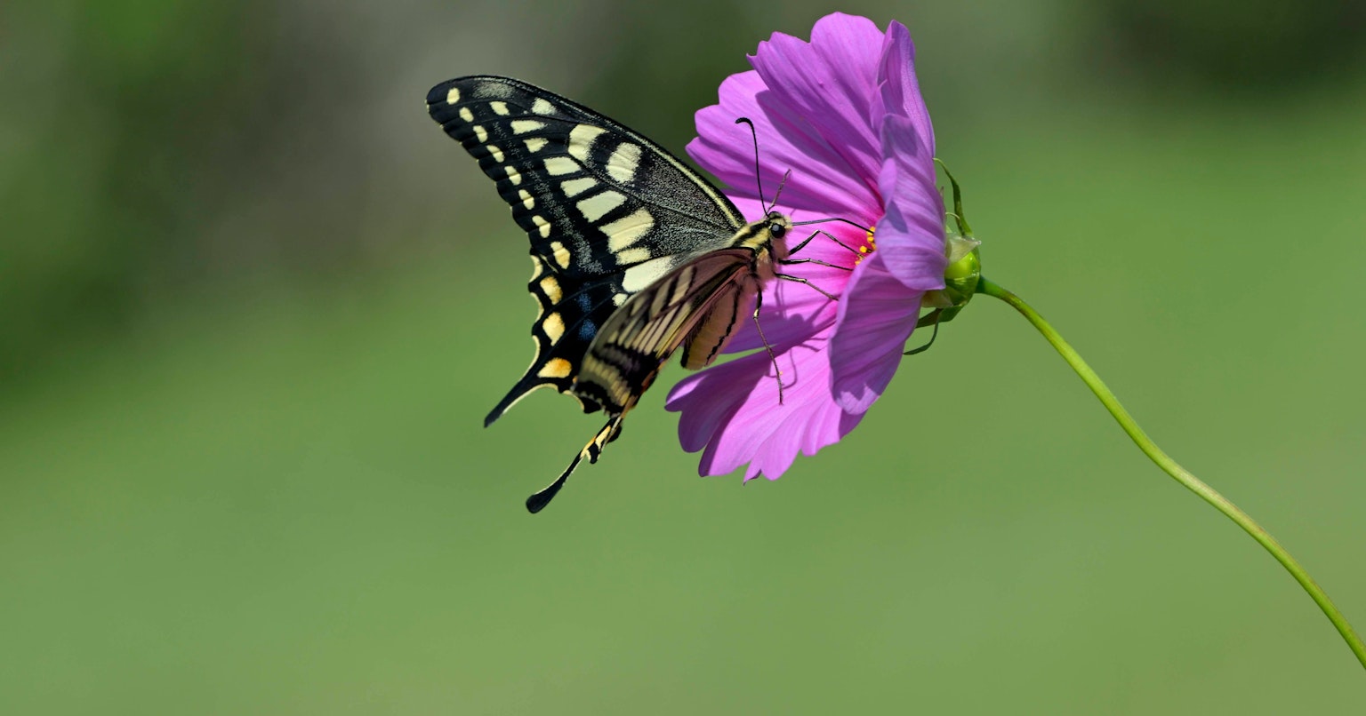 2025-08-life-cover-image