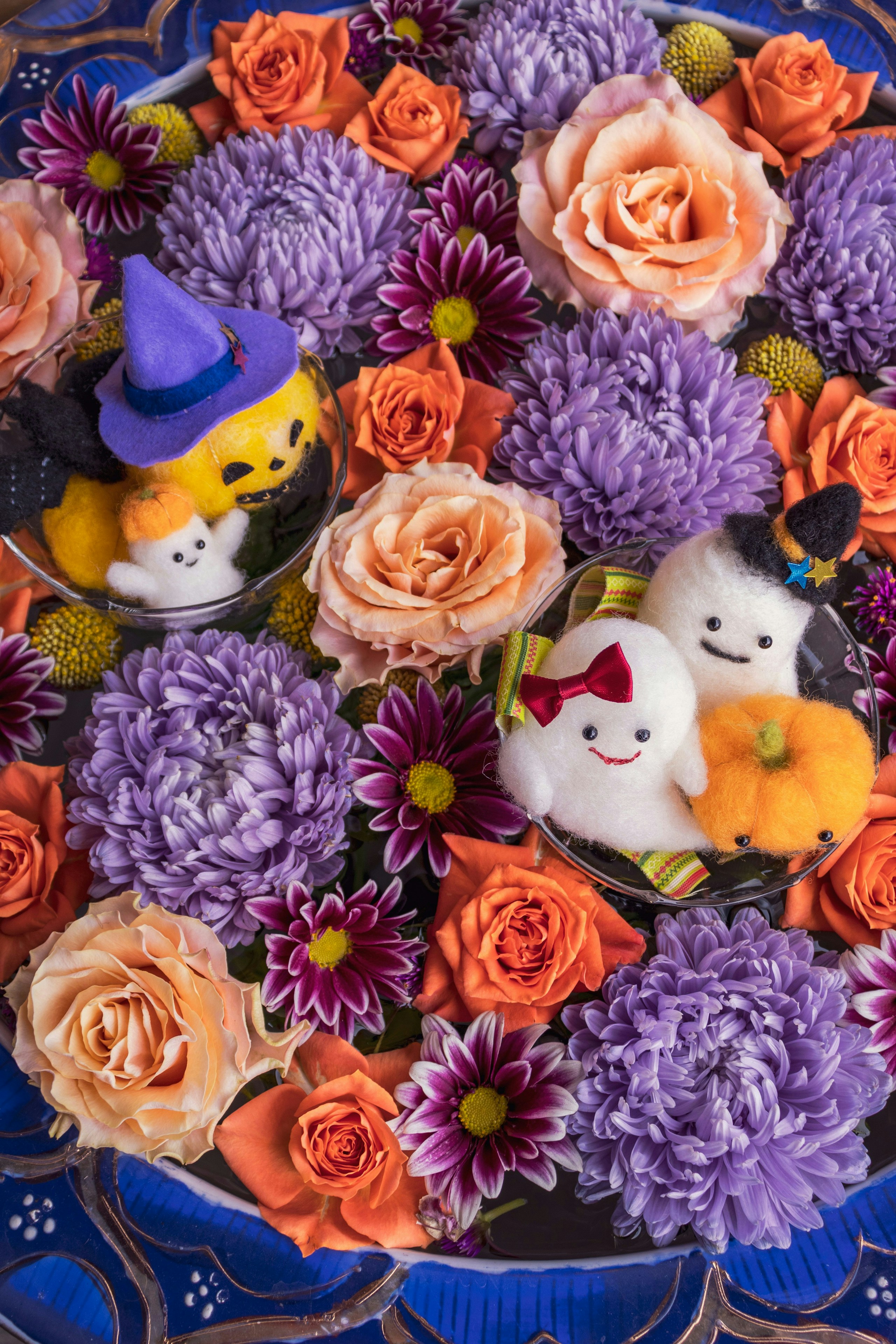 ดึงเสน่ห์ของตุ๊กตาให้ออกมาเต็มที่ด้วย 'ぬい撮り' | Focus #367