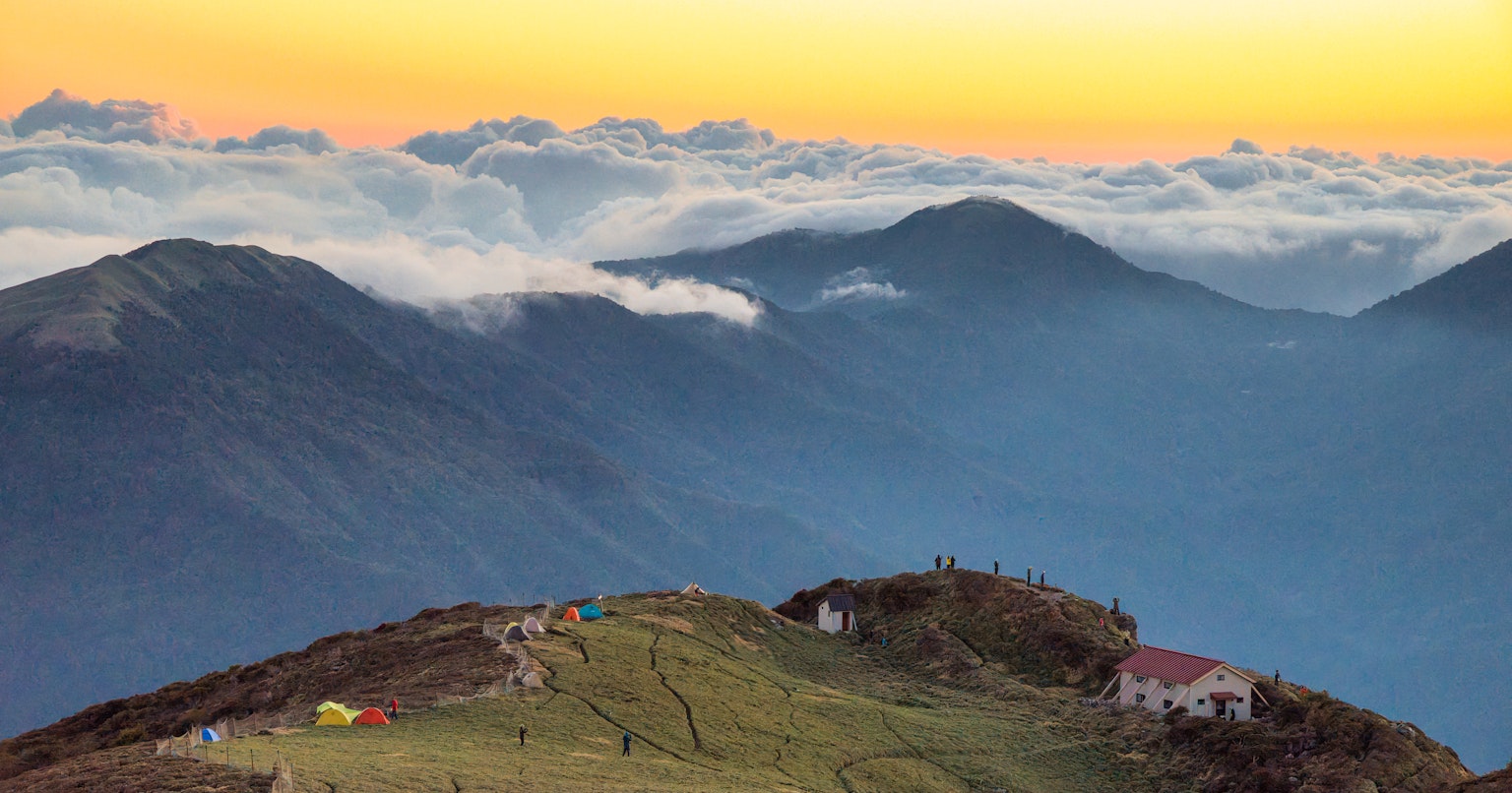 2024-11-nikon-sales-cover-image