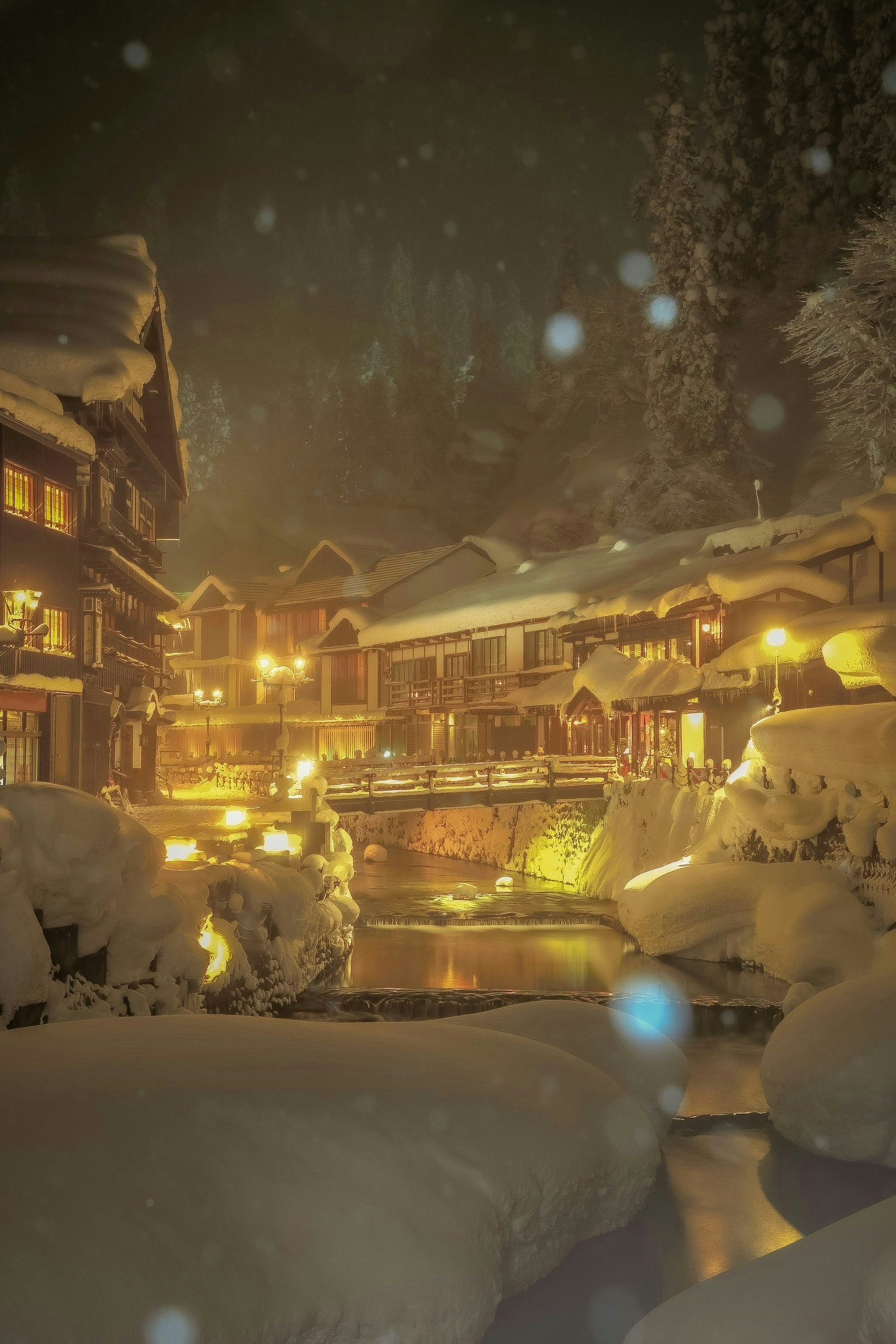 2024-12-december-photography-subjects-image-21