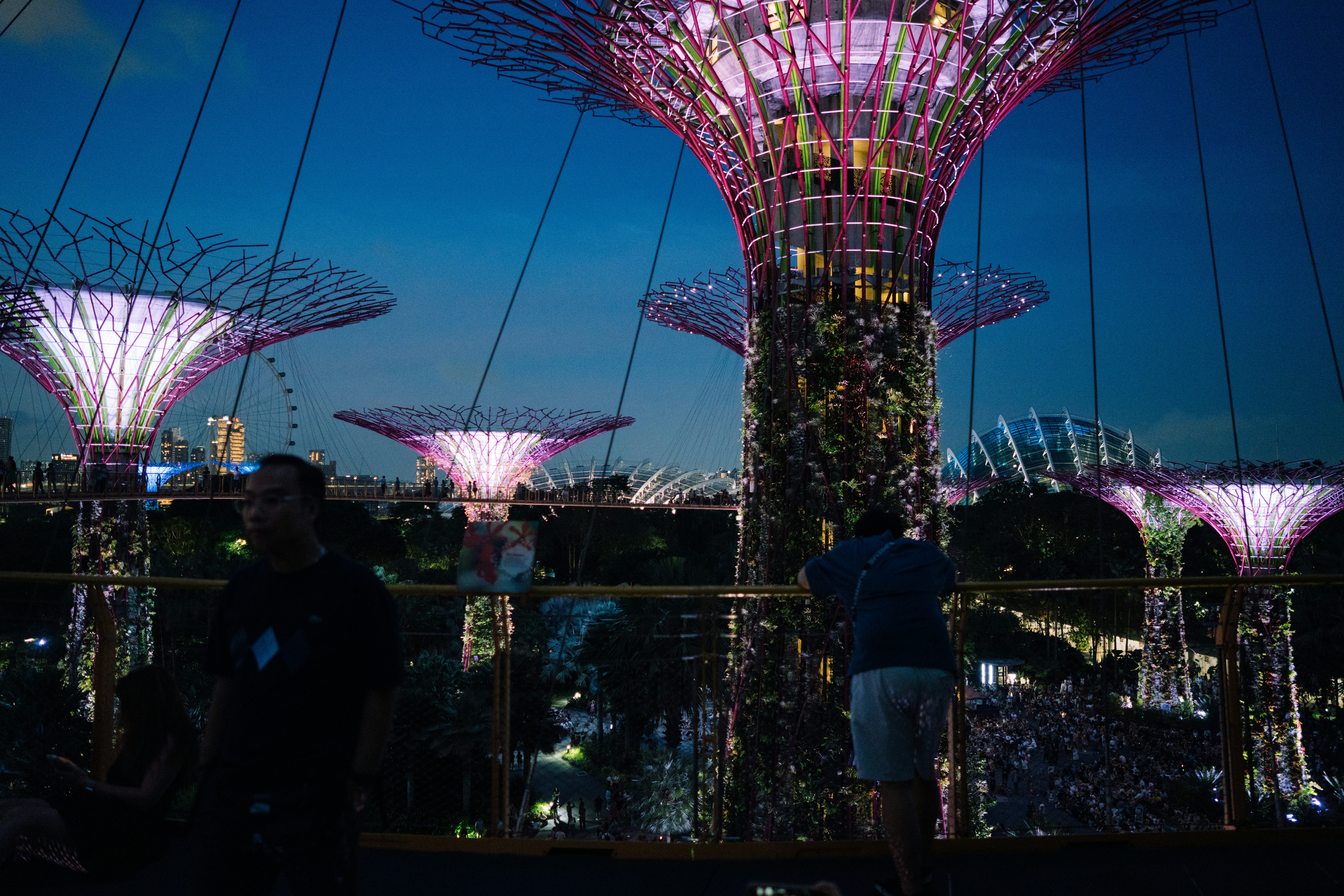 2026-08-ppp-in-singapore-cover-image