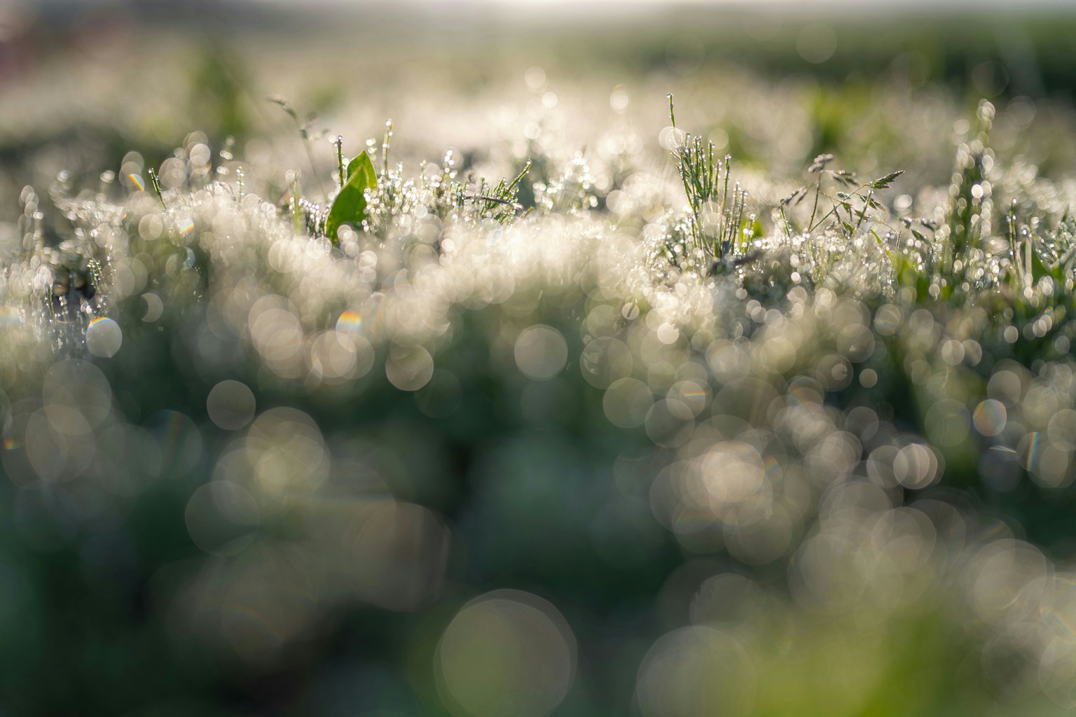 2025-06-perfectly-imperfect-award-image-6