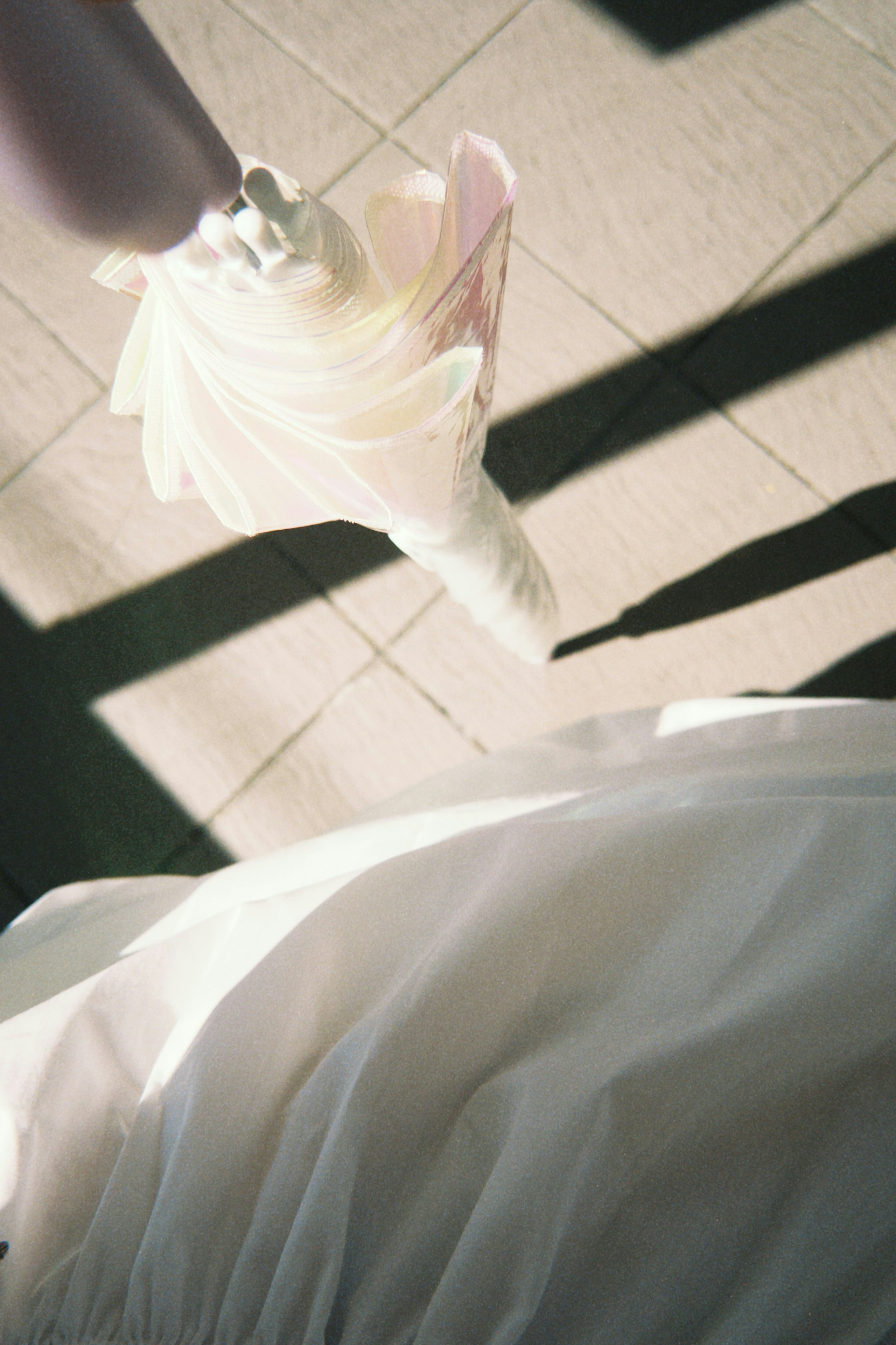 Photo by 彩