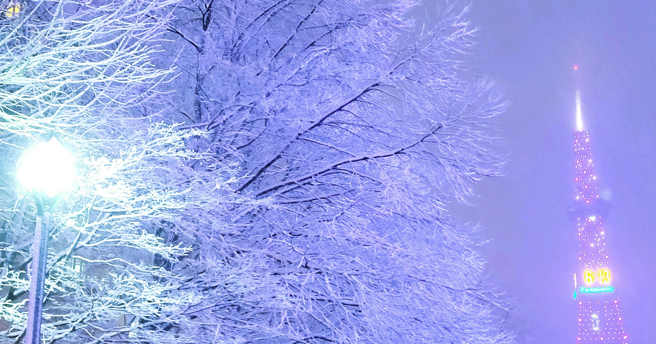 #Sapporo | 一度は訪れてみたい撮影スポット | Focus #356