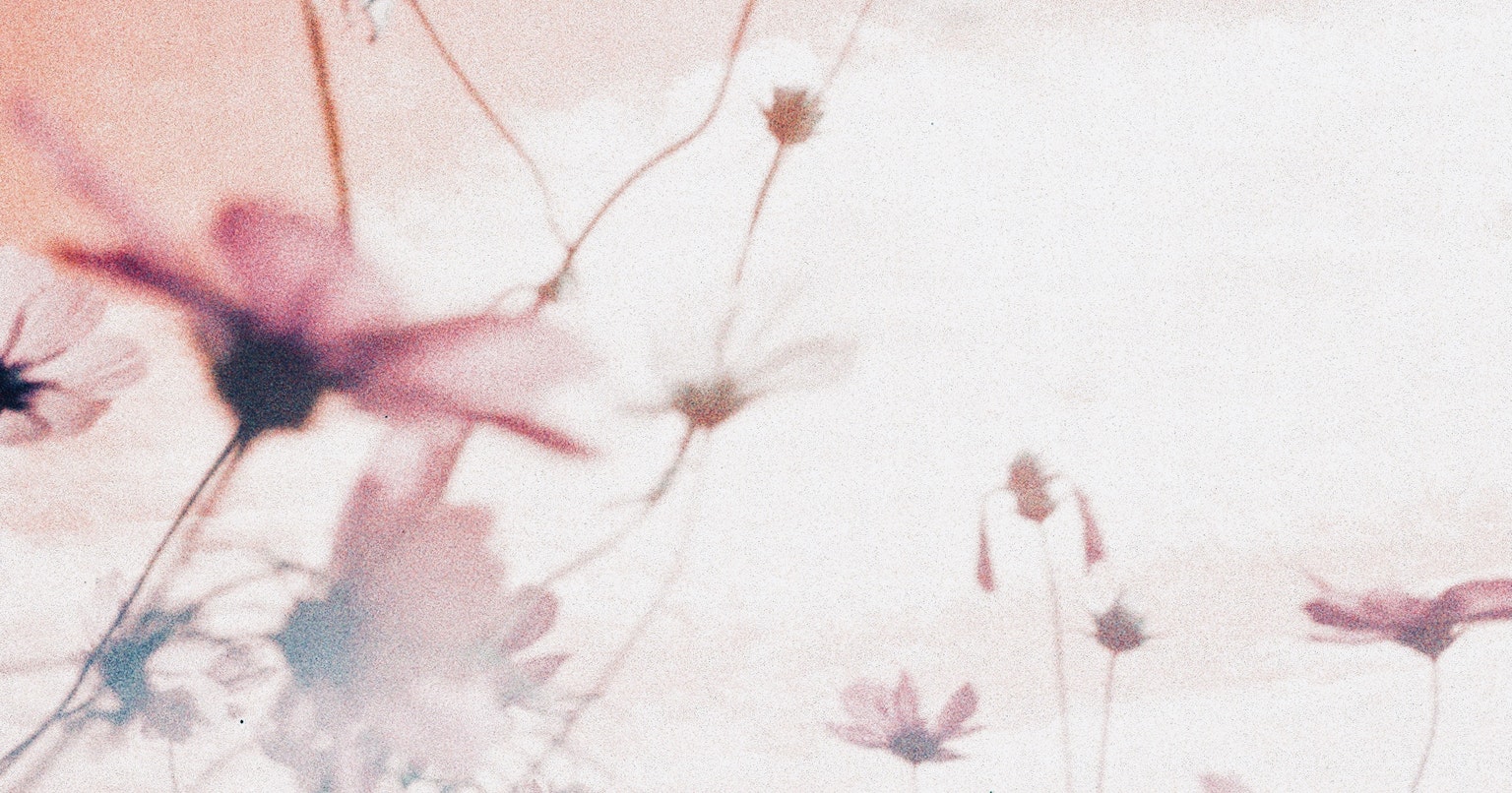 2024-06-echo-film-cover-image