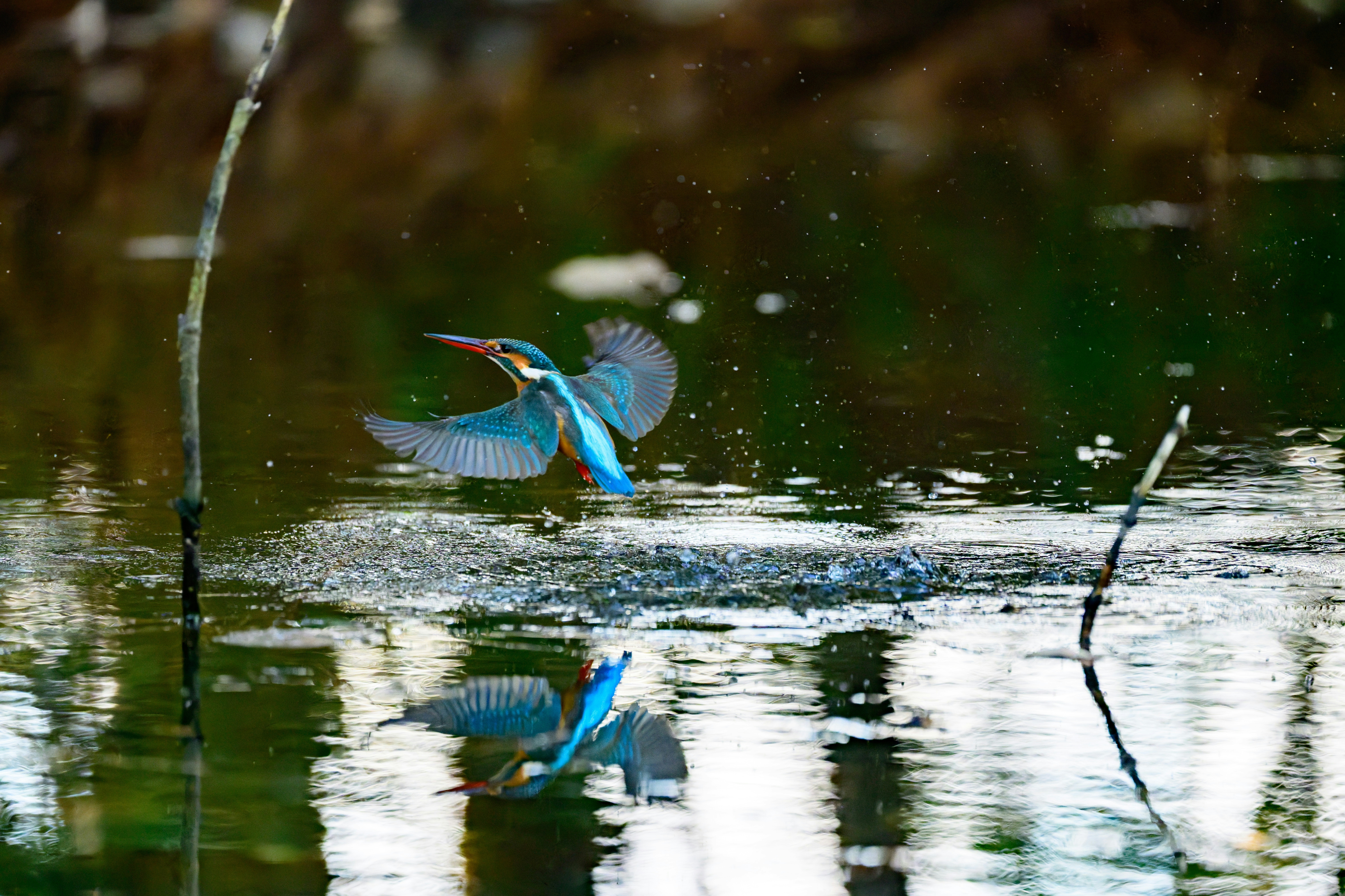 2026-01-super-telephoto-lens-cover-image