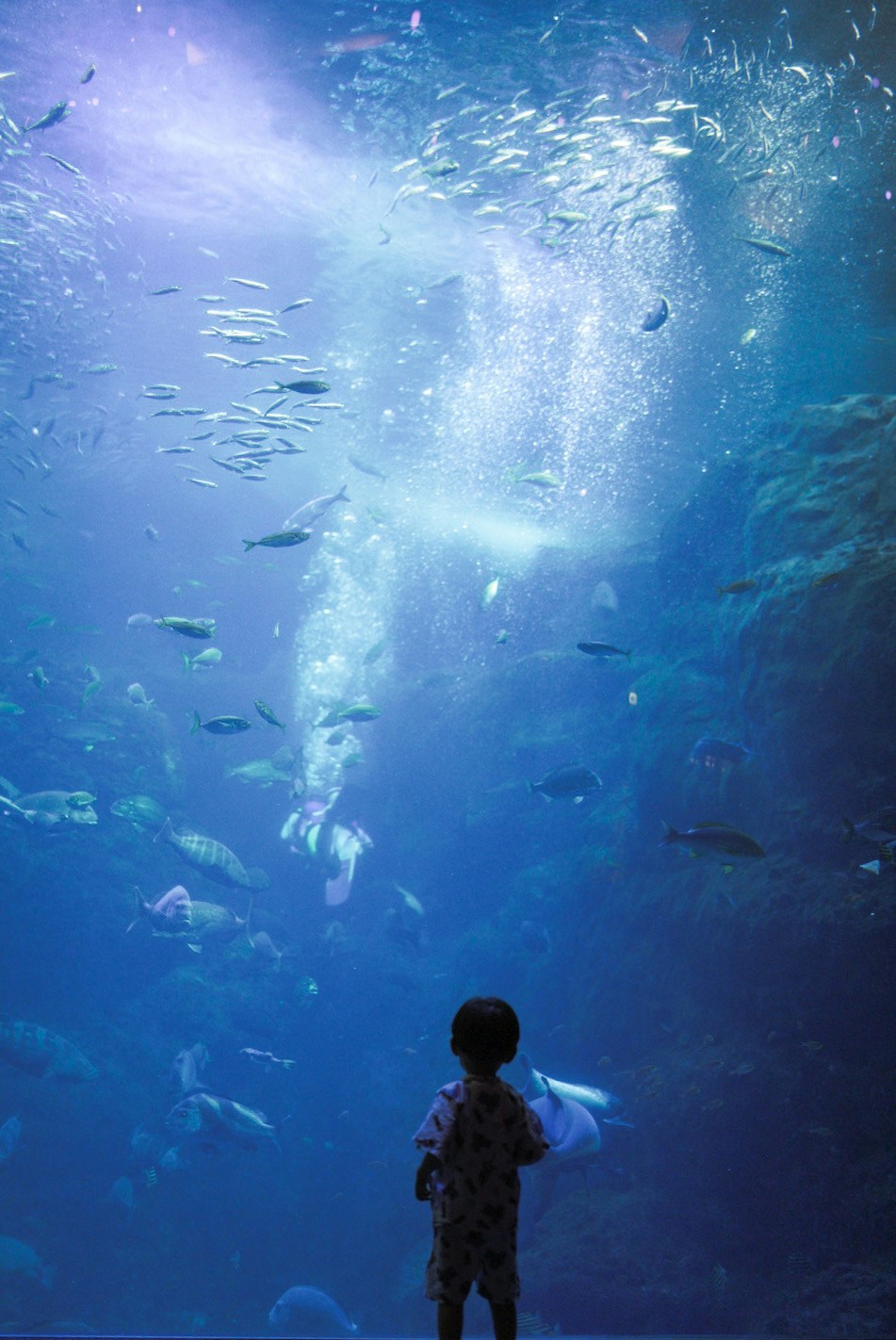 Image by fujikko