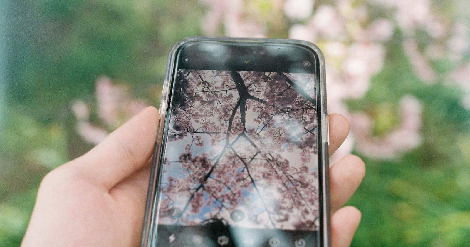 Which Should Photographers Choose: iPhone 16 Pro or iPhone 16 Pro Max? | Focus #327