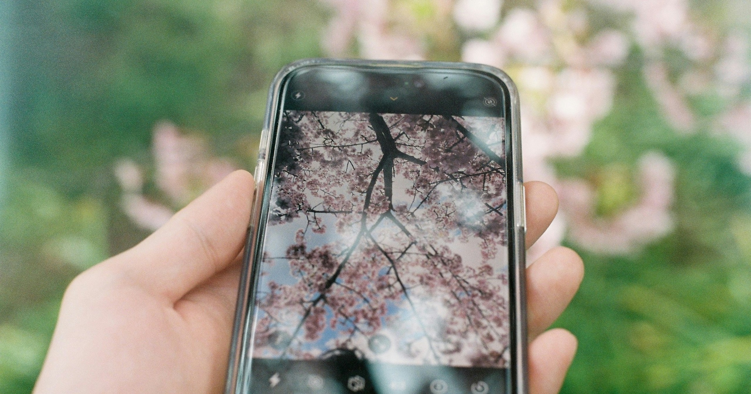 Which Should Photographers Choose: iPhone 16 Pro or iPhone 16 Pro Max? | Focus #327