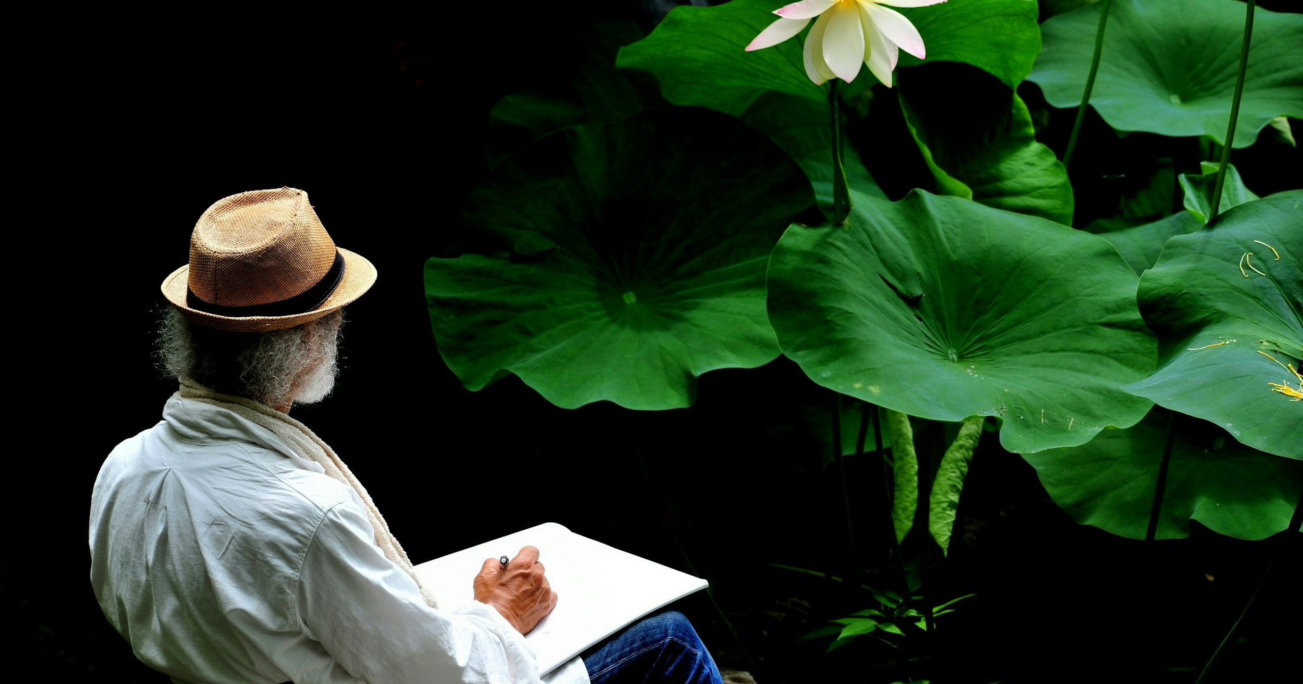 Annuncio dei premiati di Kyoto Prefectural Botanical Garden『100 Years of Future Blooms』 | Challenge #166