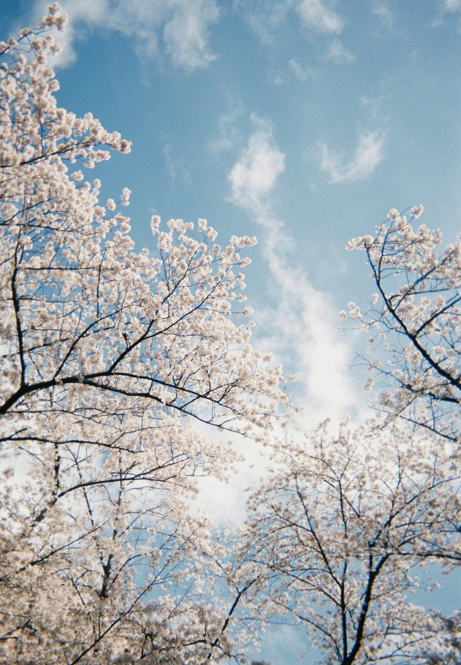 2025-04-fujifilm-film-price-increase-image-4