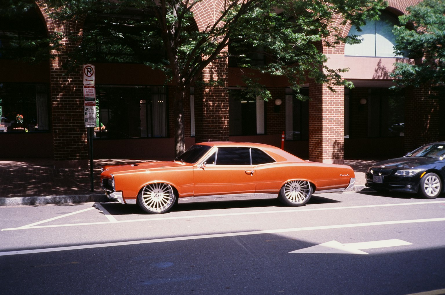 2024-09-rollei-35af-pre-order-image-8