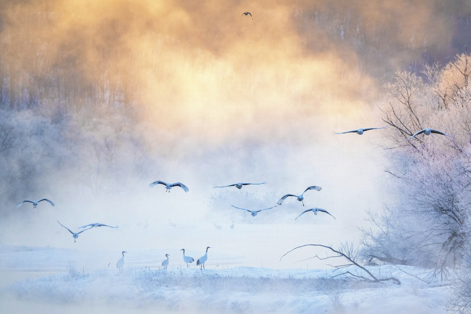 2024-04-hokkaido-image-18