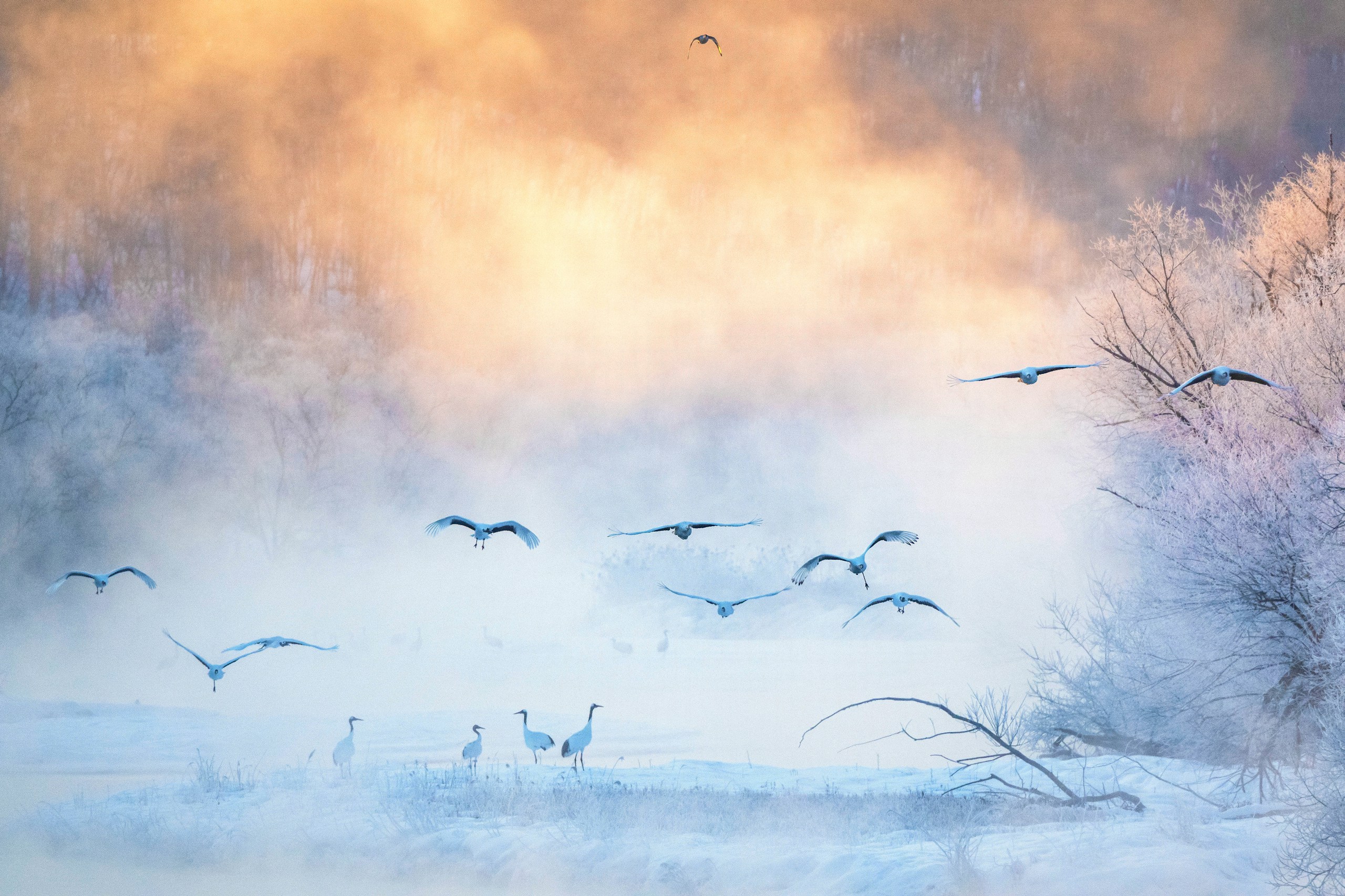 2024-04-hokkaido-image-18