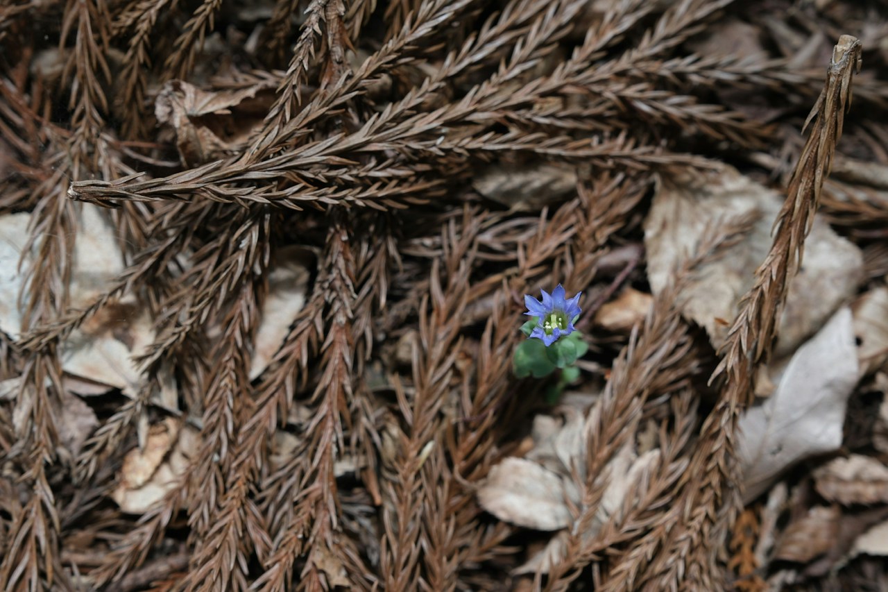 Image by crossroad0201