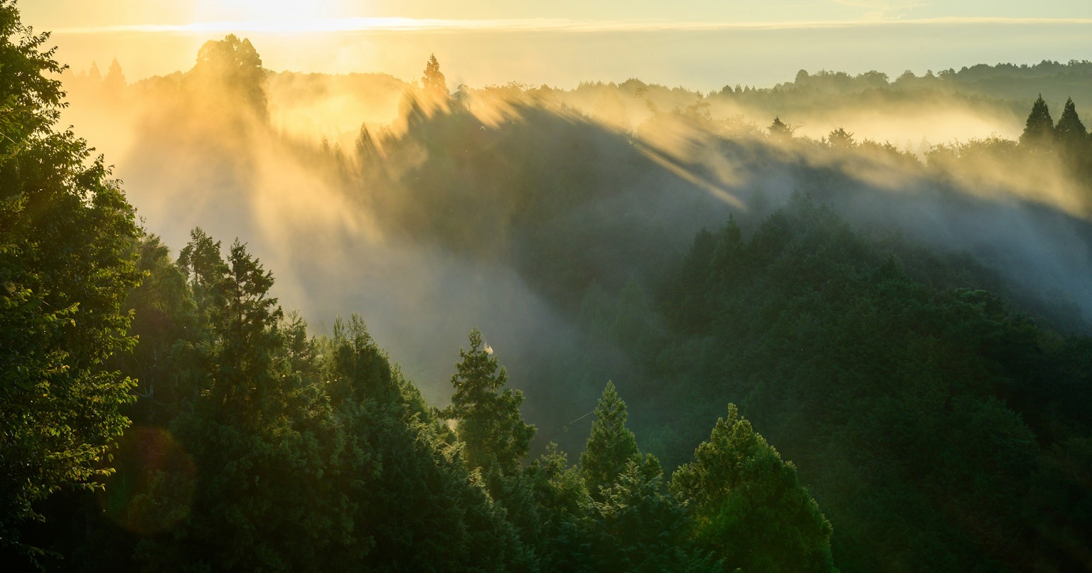 2025-03-encounter-with-camera-cover-image