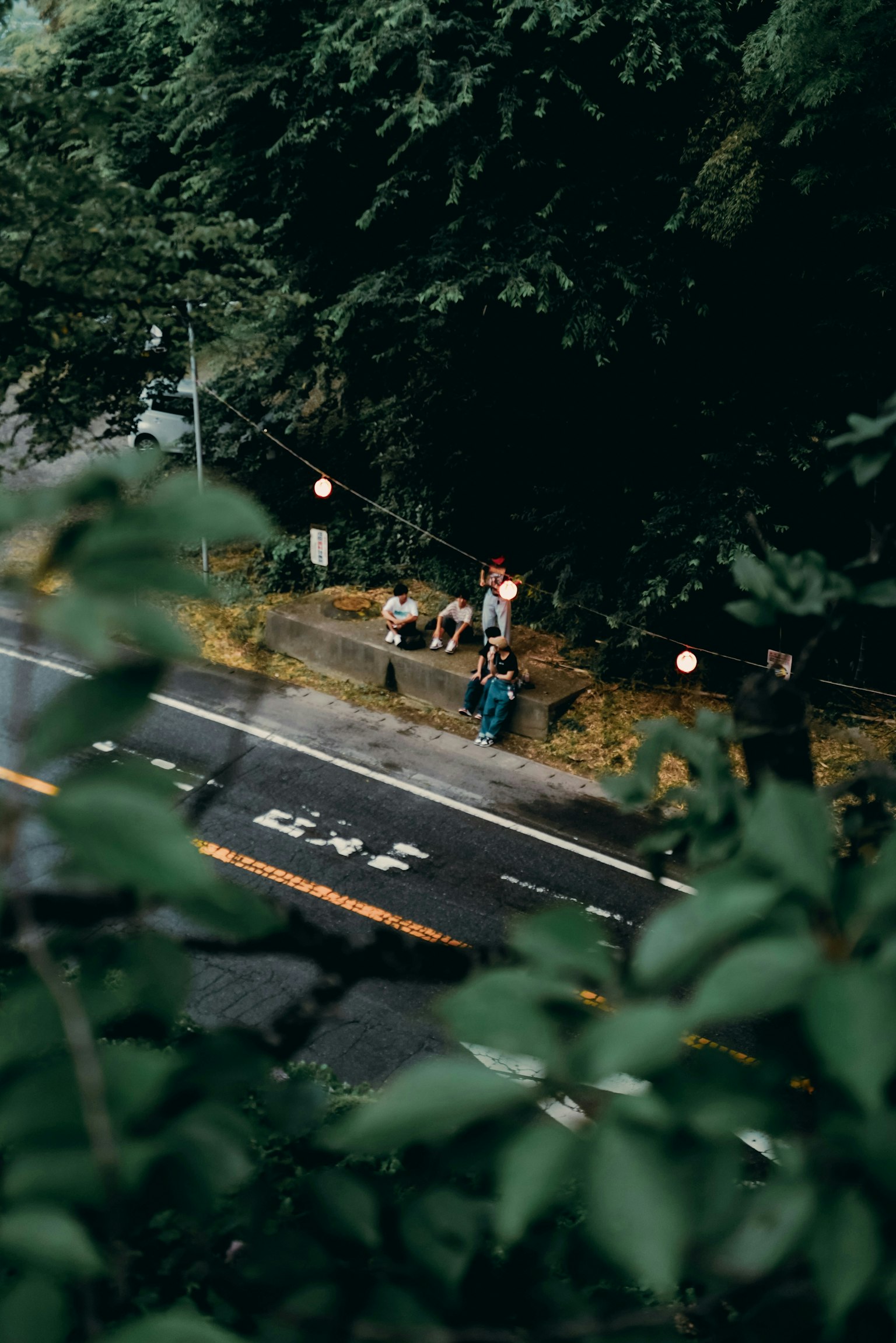 2025-12-pick-up-photos-no-259-263-image-9