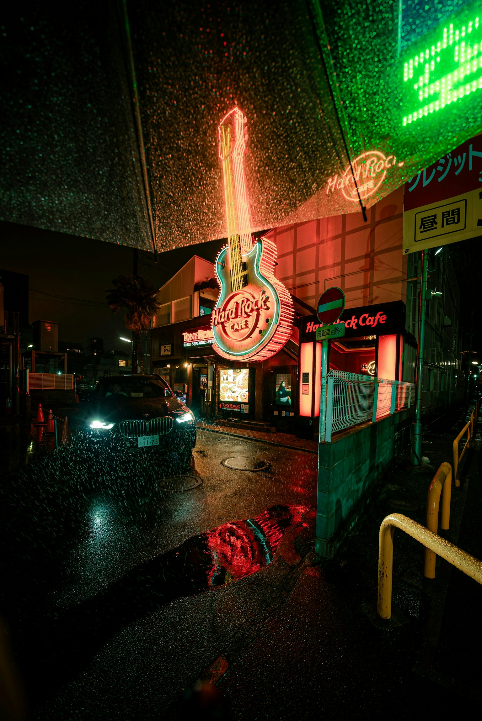 2025-08-allure-of-neonsigns-image-5