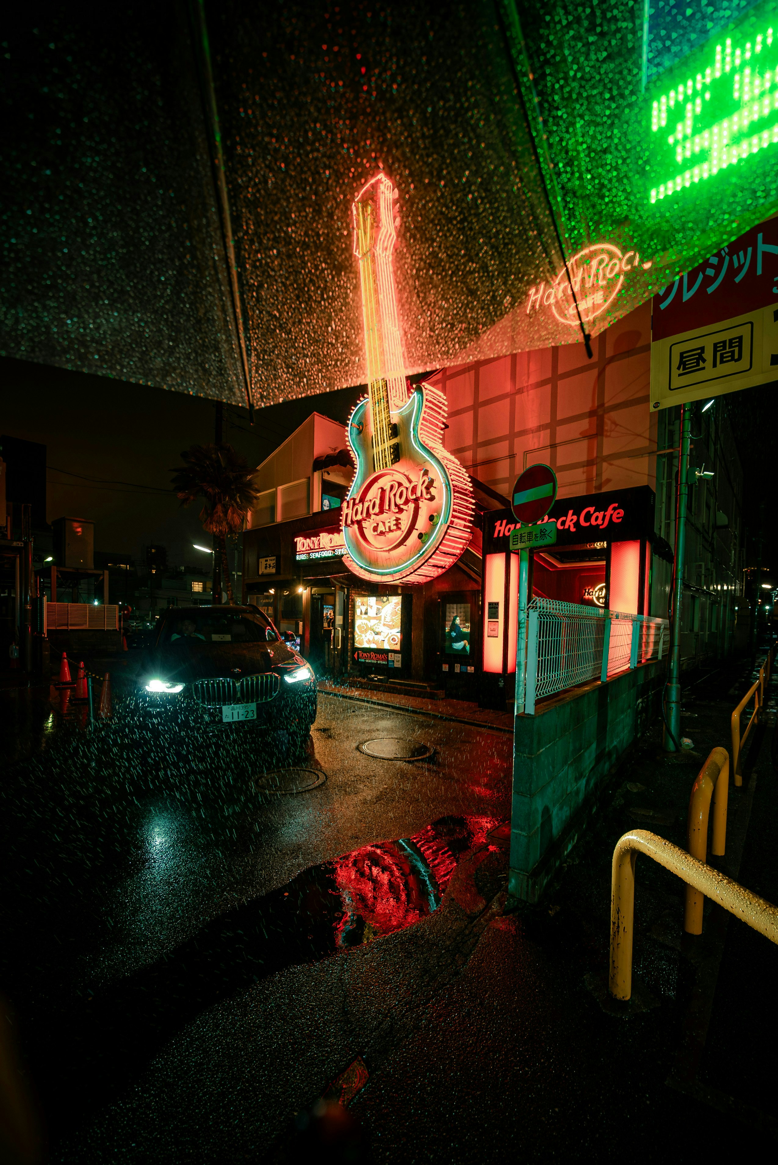 2025-08-allure-of-neonsigns-image-5