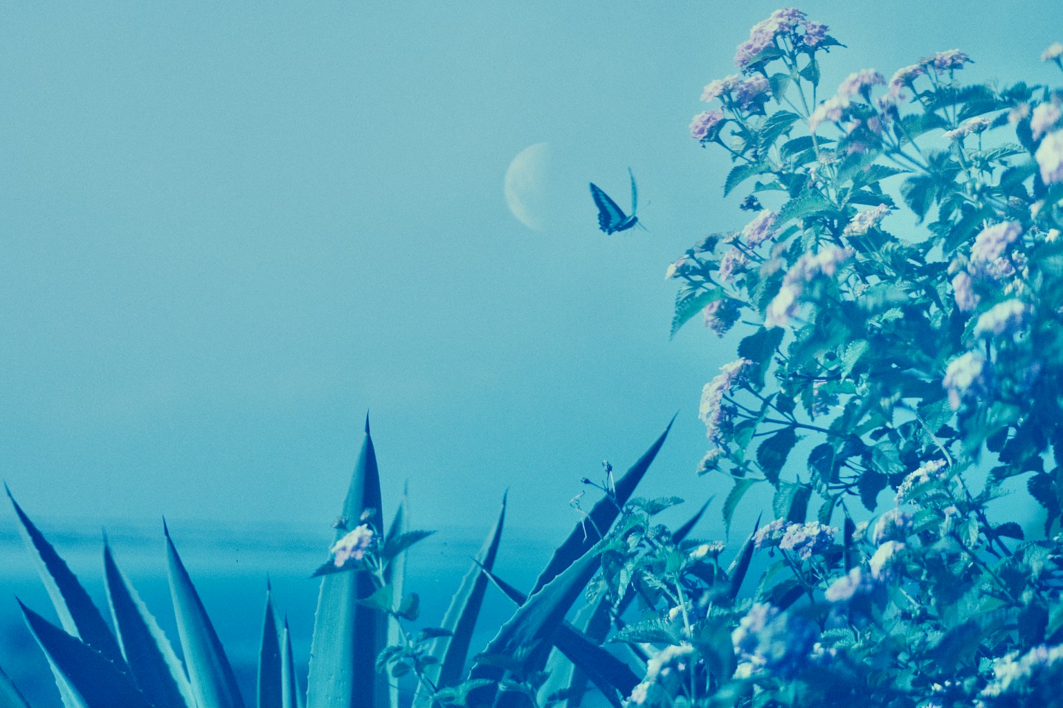 2024-05-tutorial-film-image-11