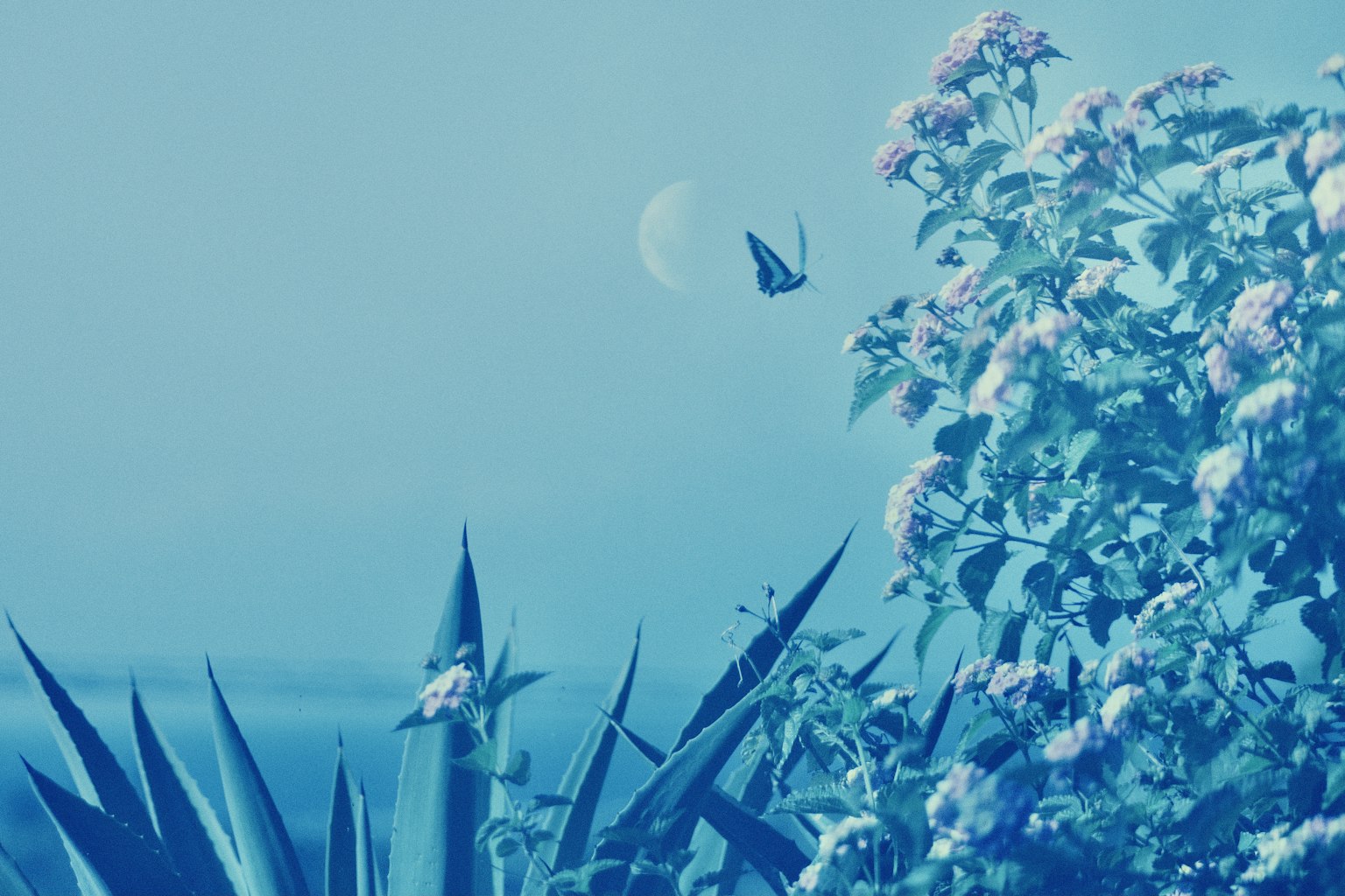 2024-05-tutorial-film-image-11