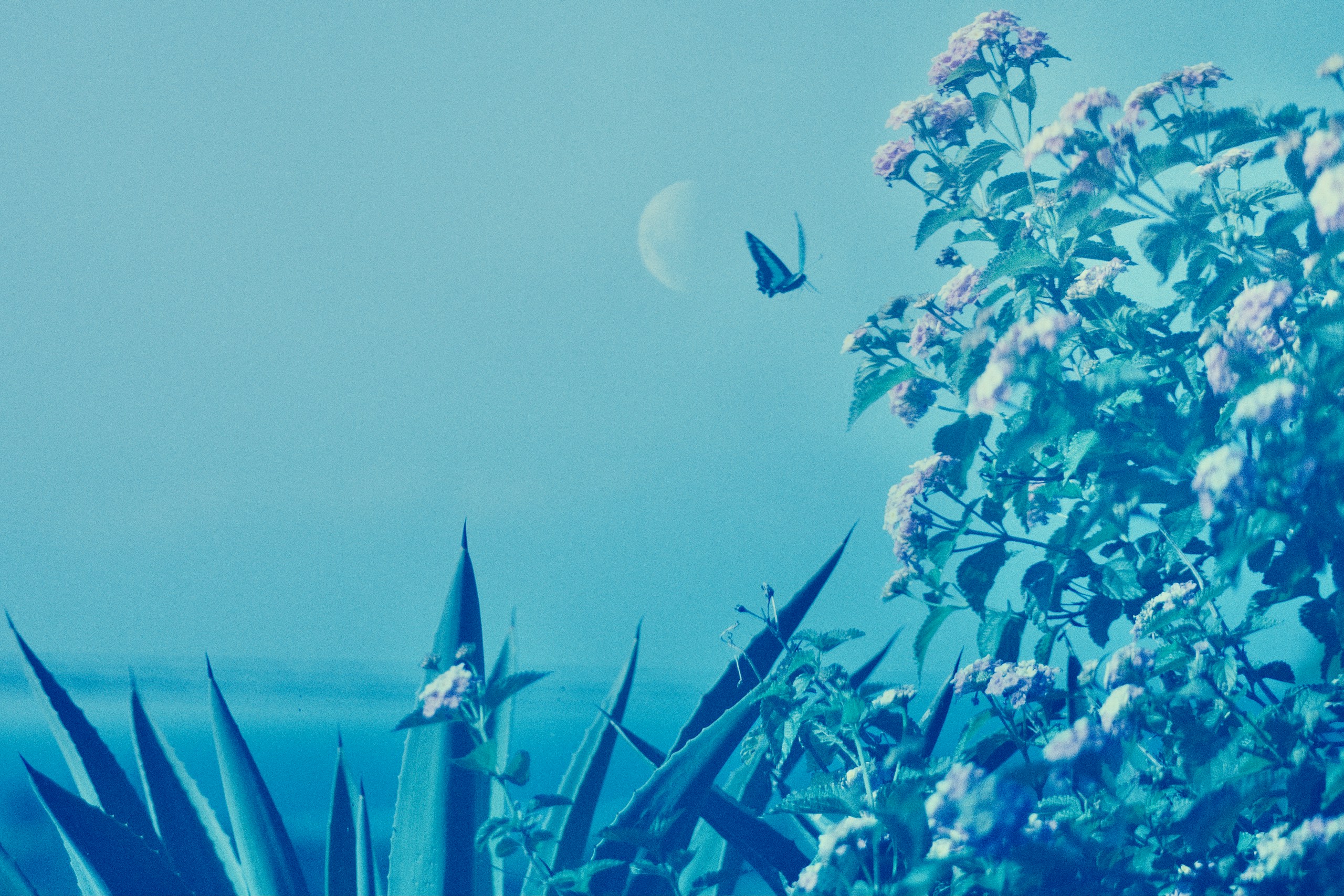 2024-05-tutorial-film-image-11