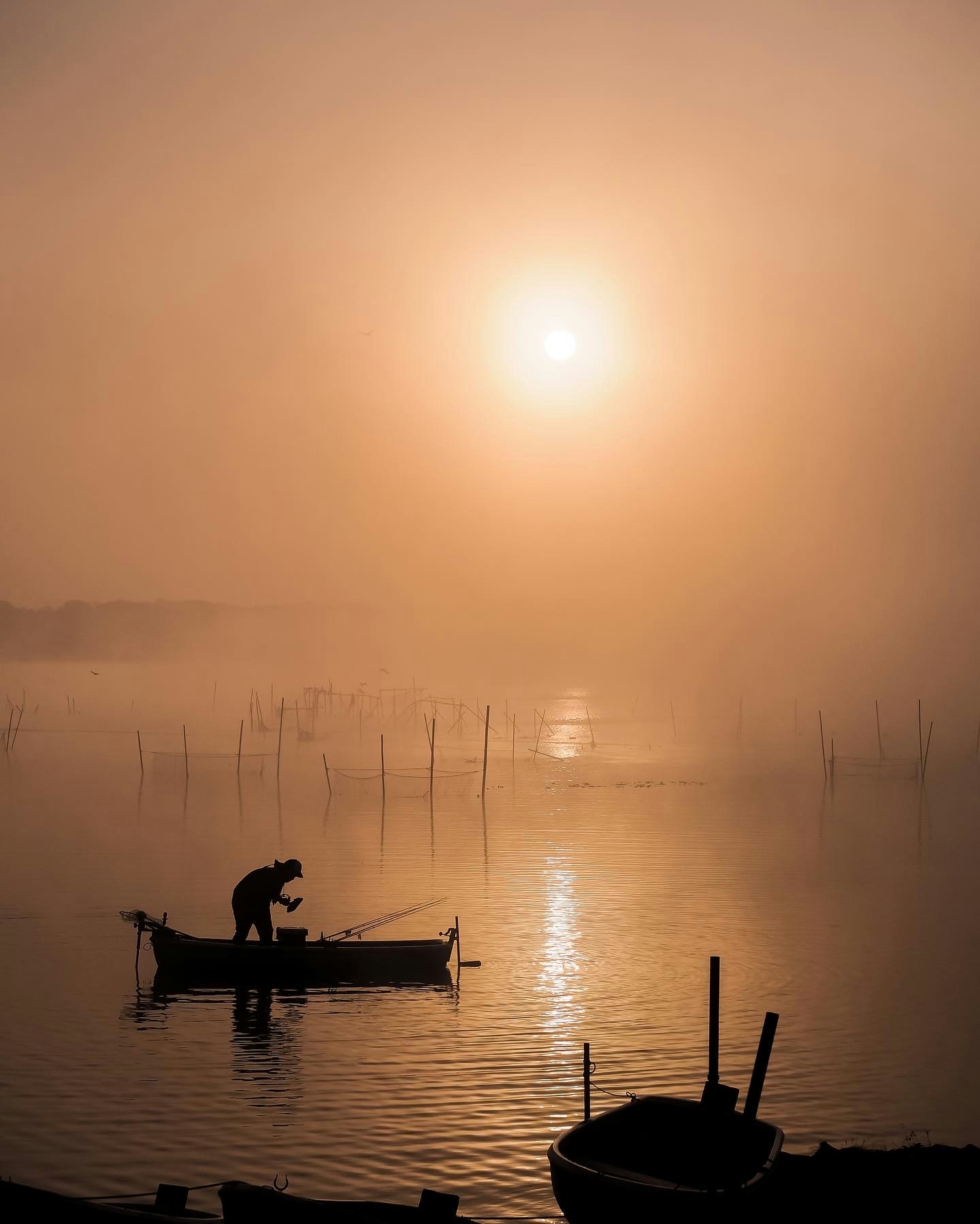 Foto di dainosuke50