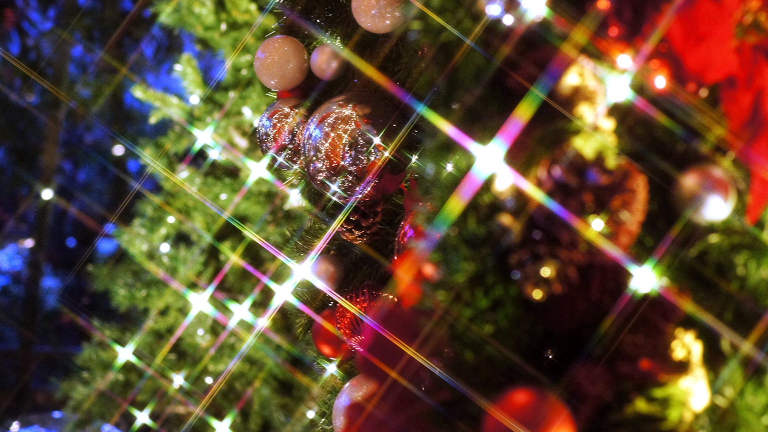 2024-03-filter-photography-image-9