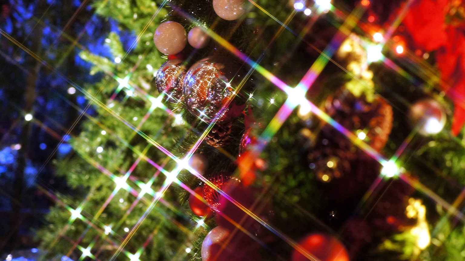 2024-03-filter-photography-image-9