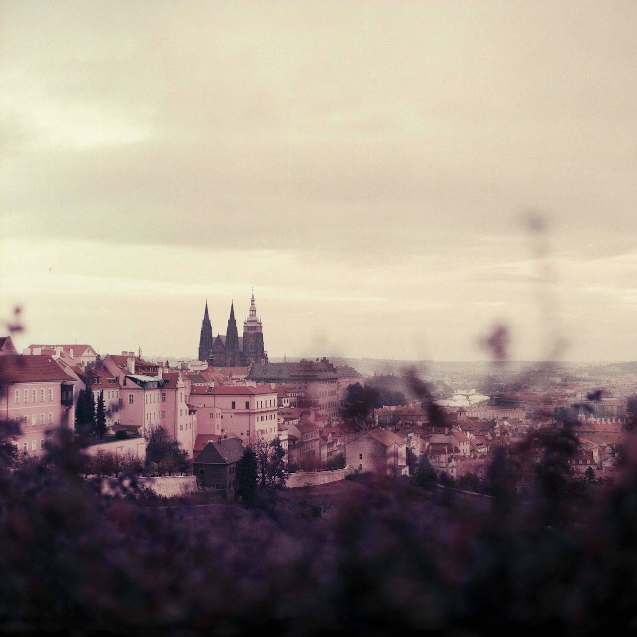 ©︎ Lomography