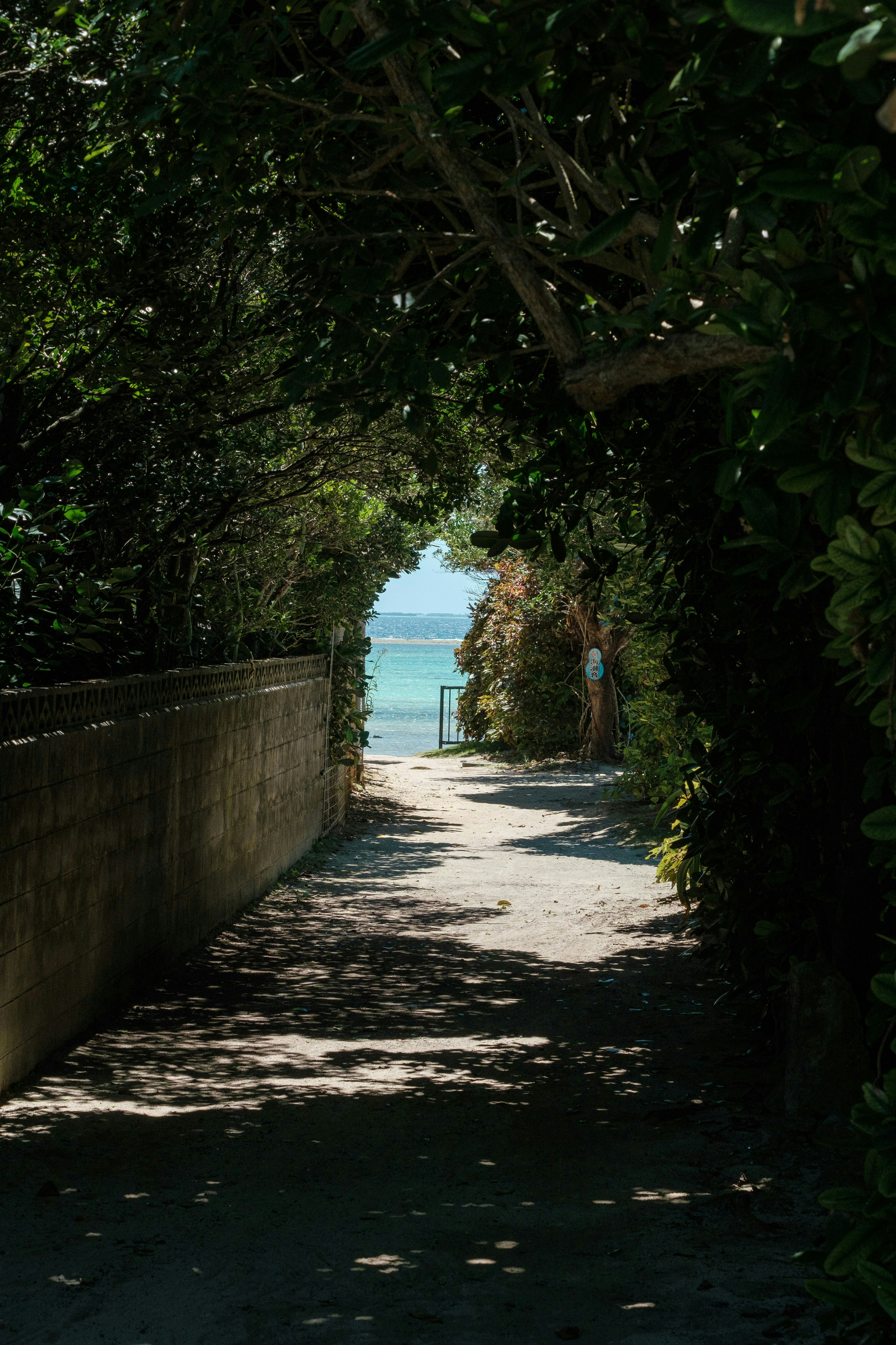2025-04-local-image-6