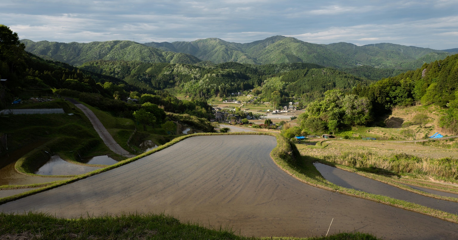 2024-11-leica-sales-record-cover-image