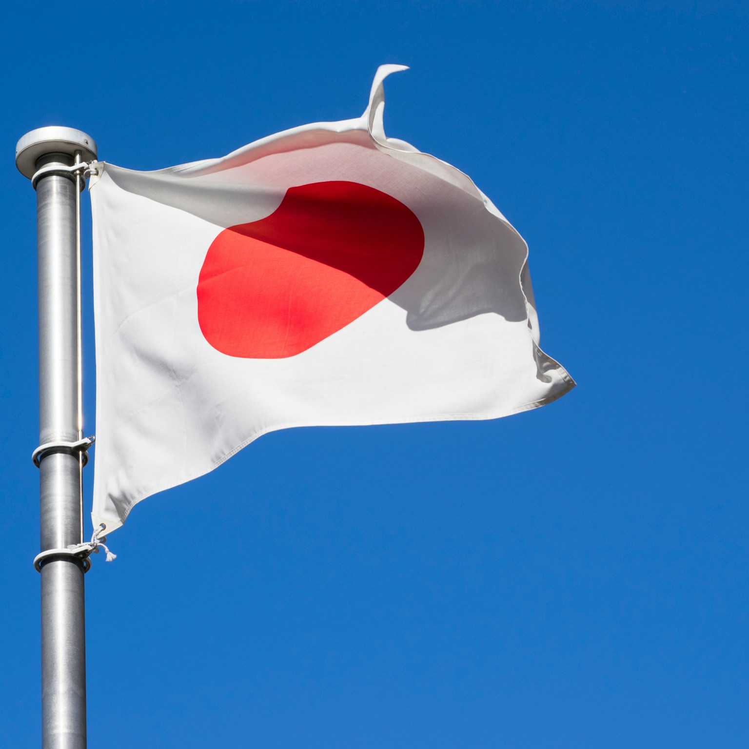 2024-04-symbol-cover-image