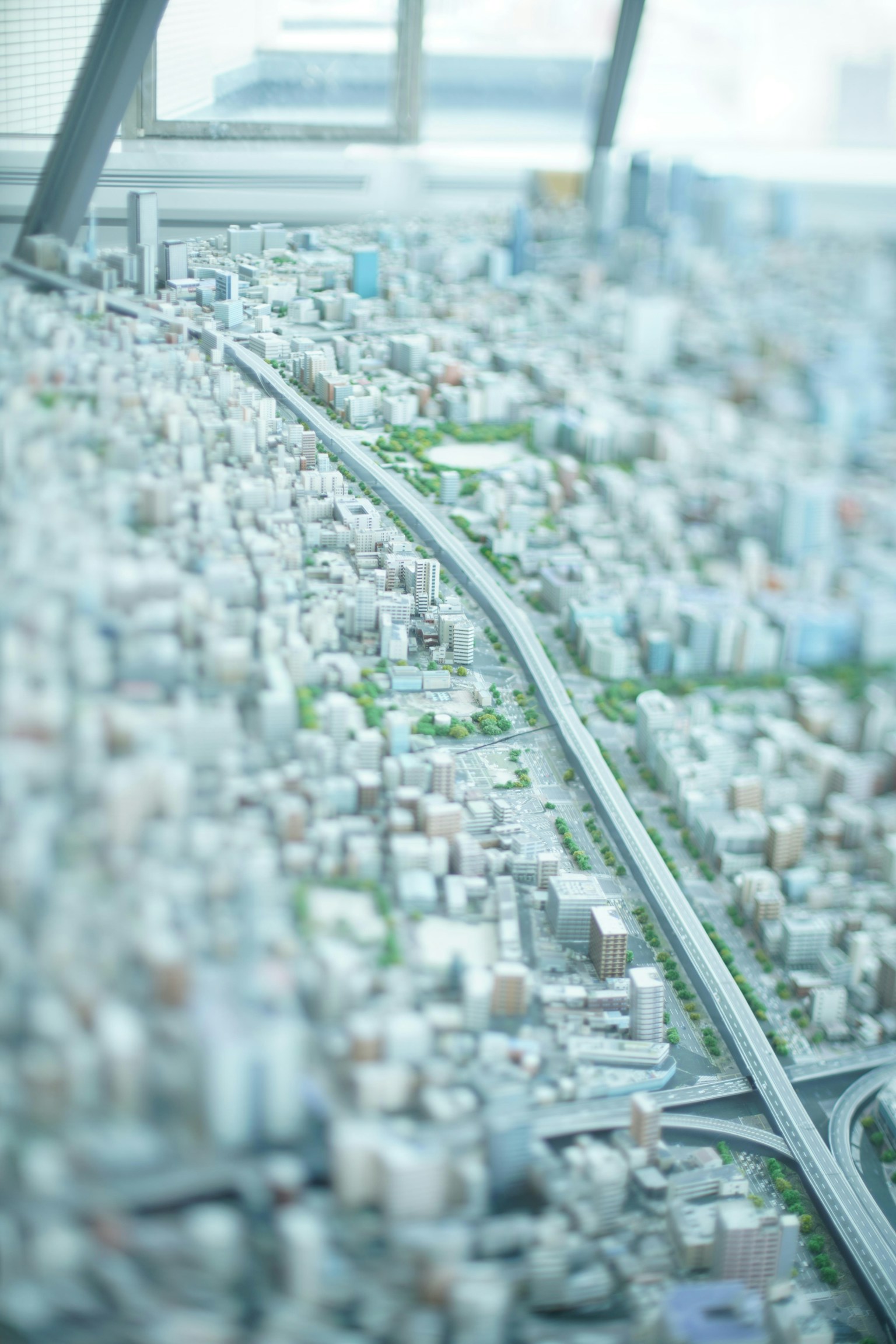 2024-06-tilt-shift-50mm-image-9
