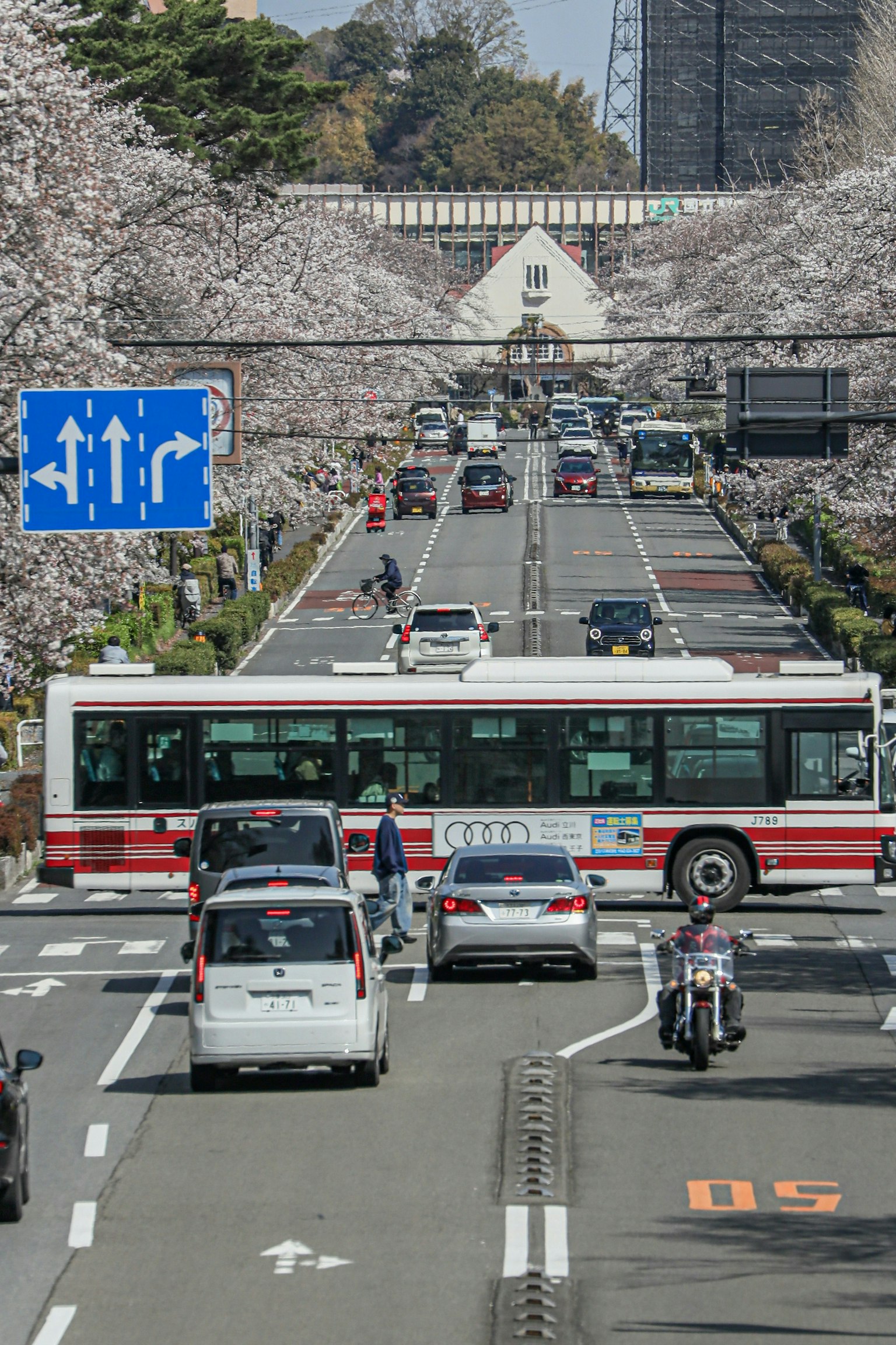 2025-04-spring-report-image-7