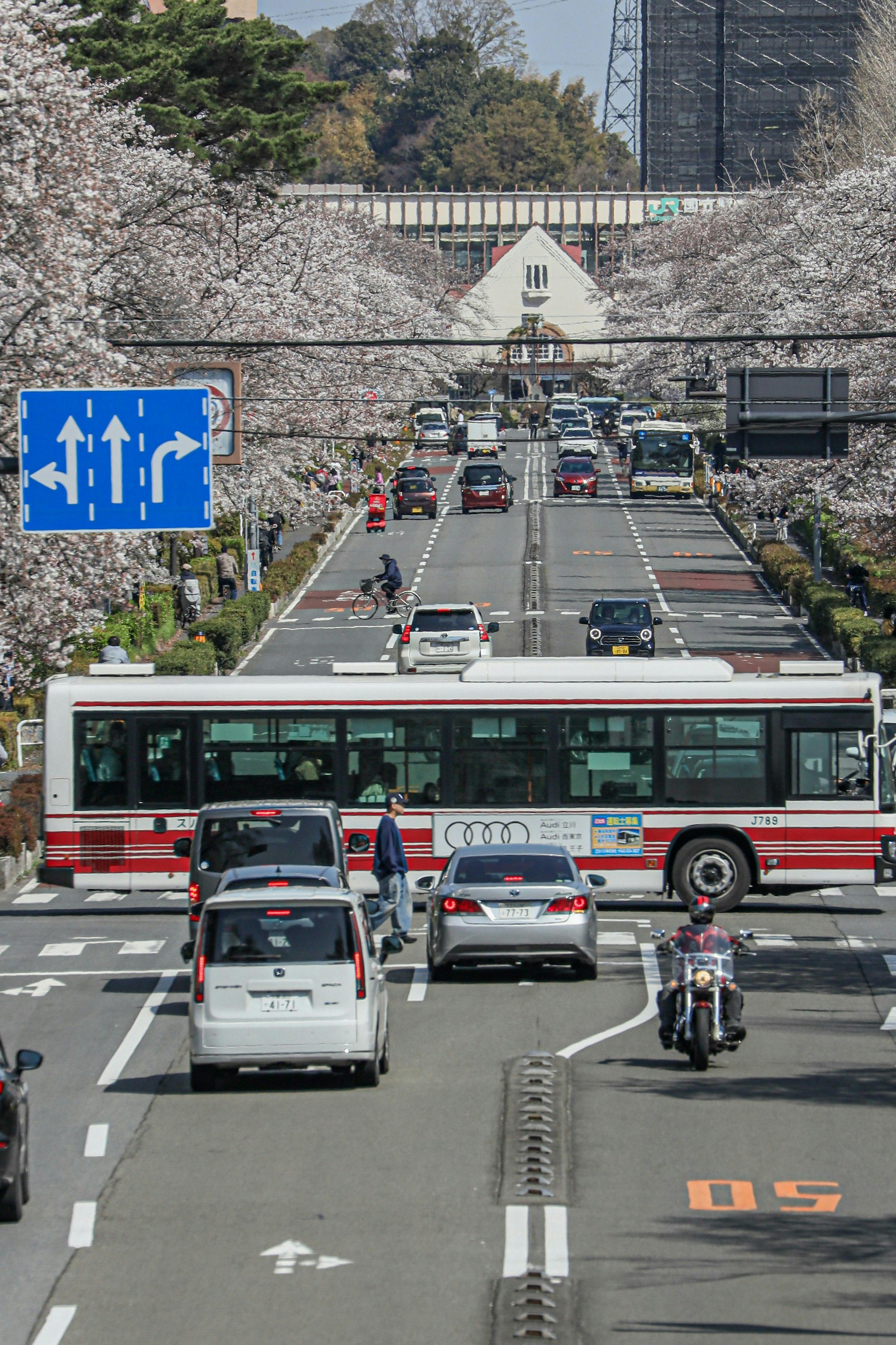 2025-04-spring-report-image-7