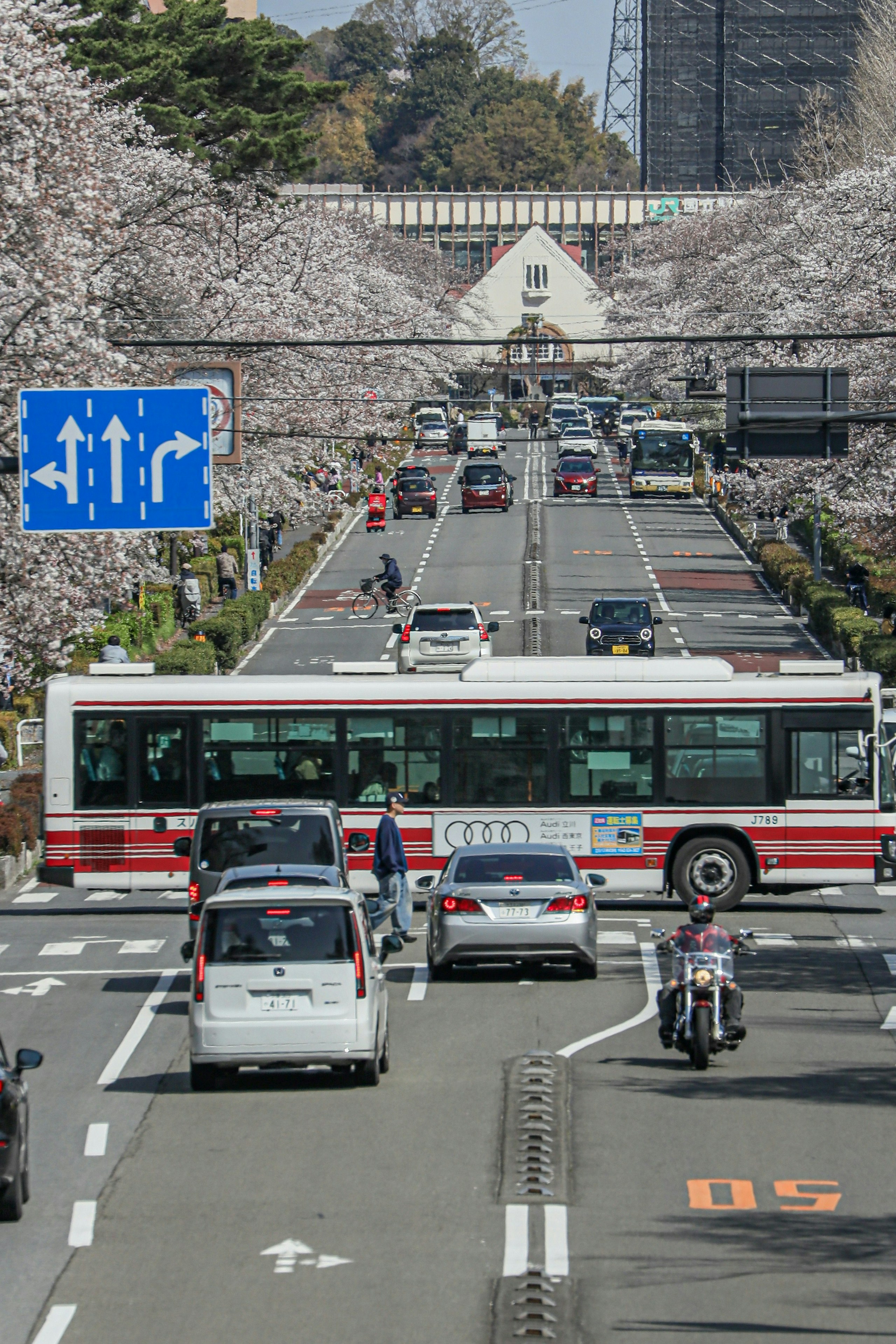 2025-04-spring-report-image-7