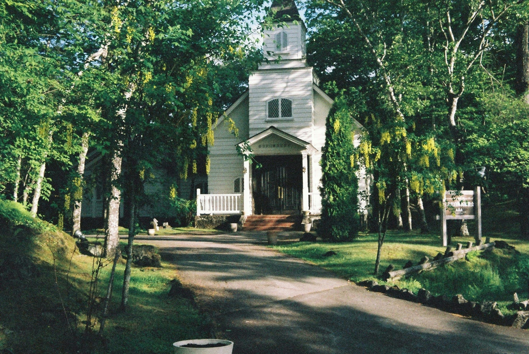 2026-08-rollei-35-long-lasting-companion-image-9