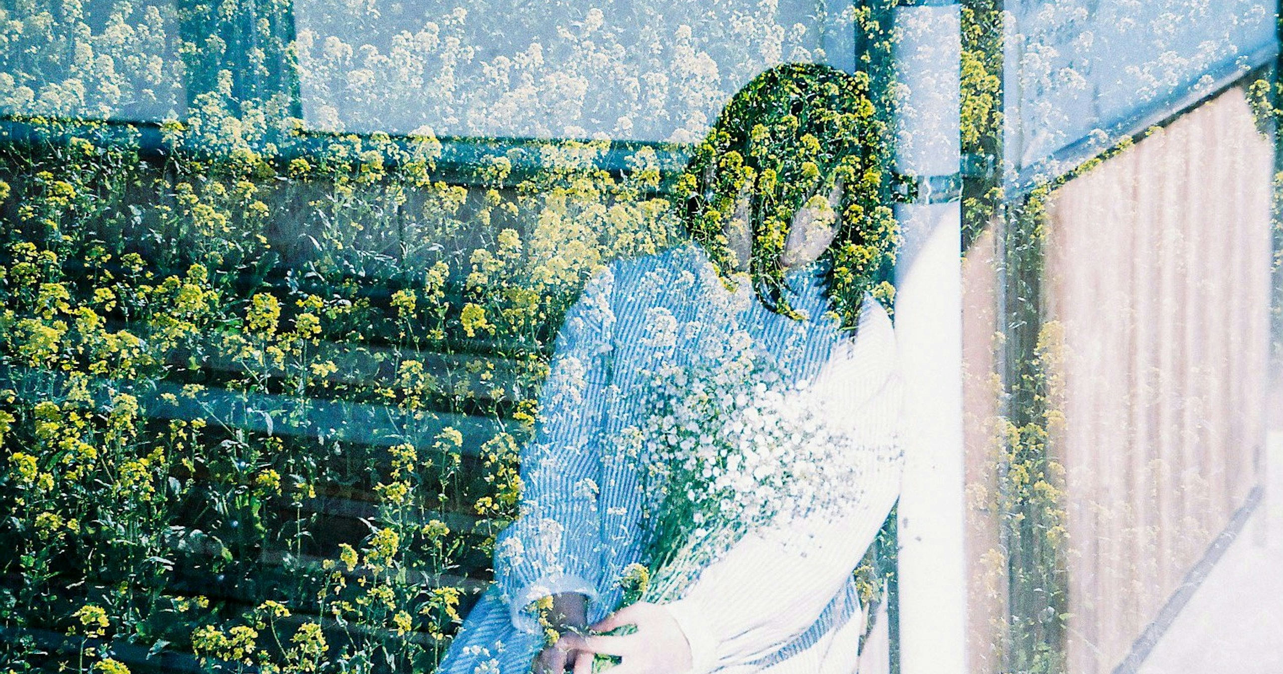 #layers | 重なりの中に見つける、風景の奥行き | Focus #751