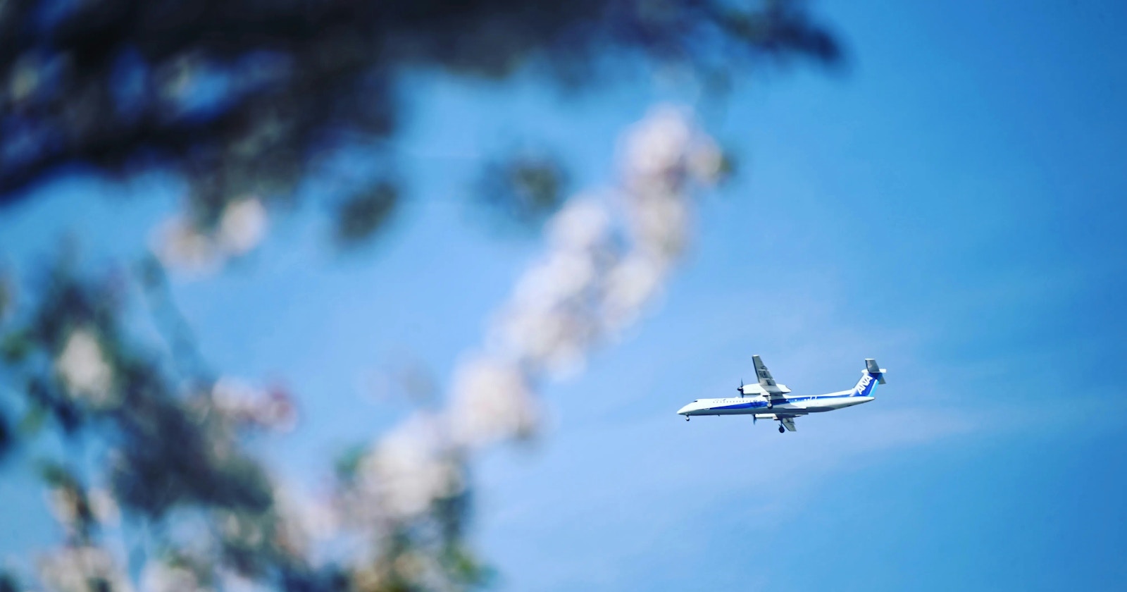 Threads 発掘企画 | find new pieces『airplane』| まだ見ぬ才能に出会う | Focus #637